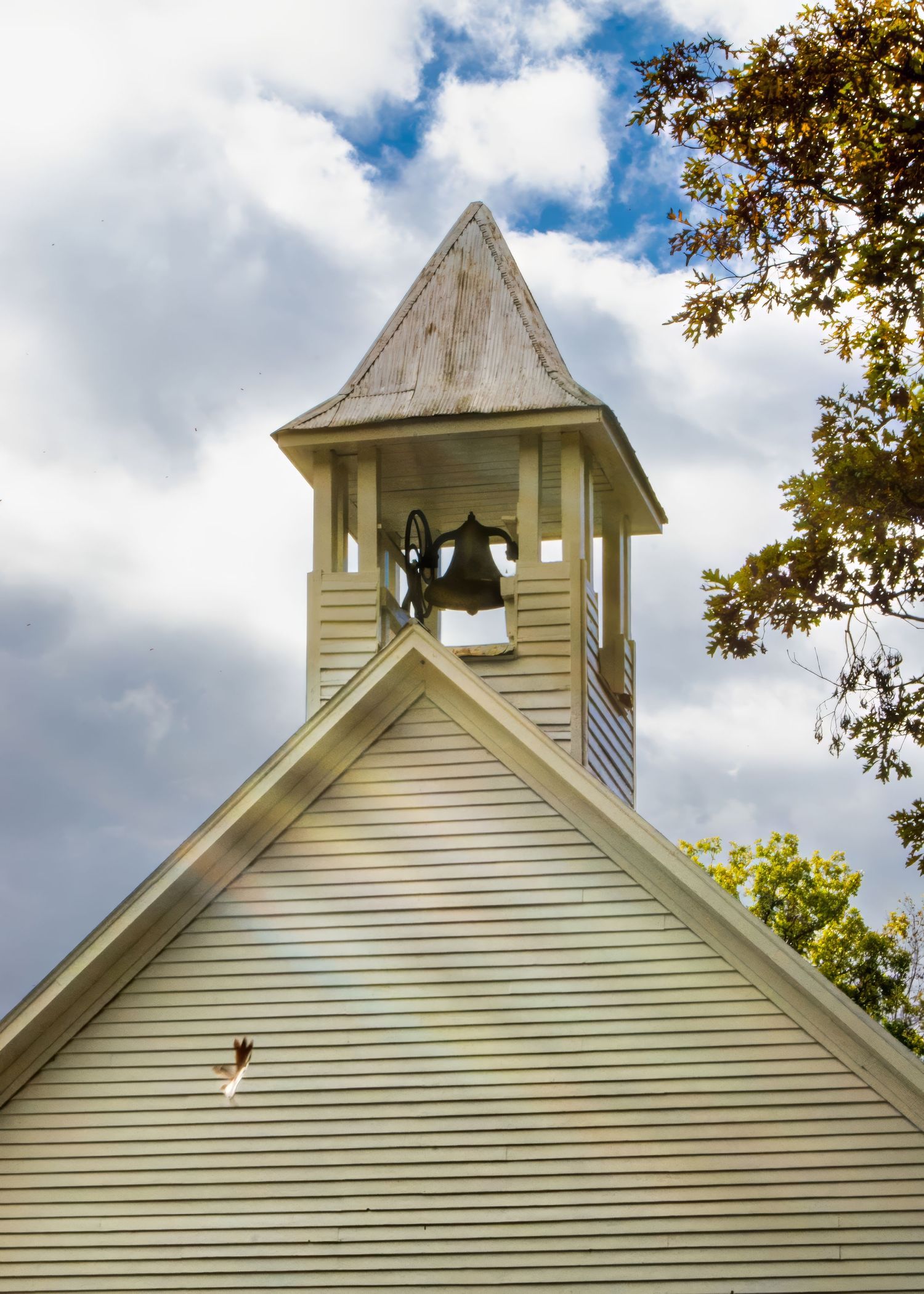 Photograph of historic Cades Cove Primitive Baptist Church in Great Smoky Mountain National Park captures a single autumn leaf as it falls.