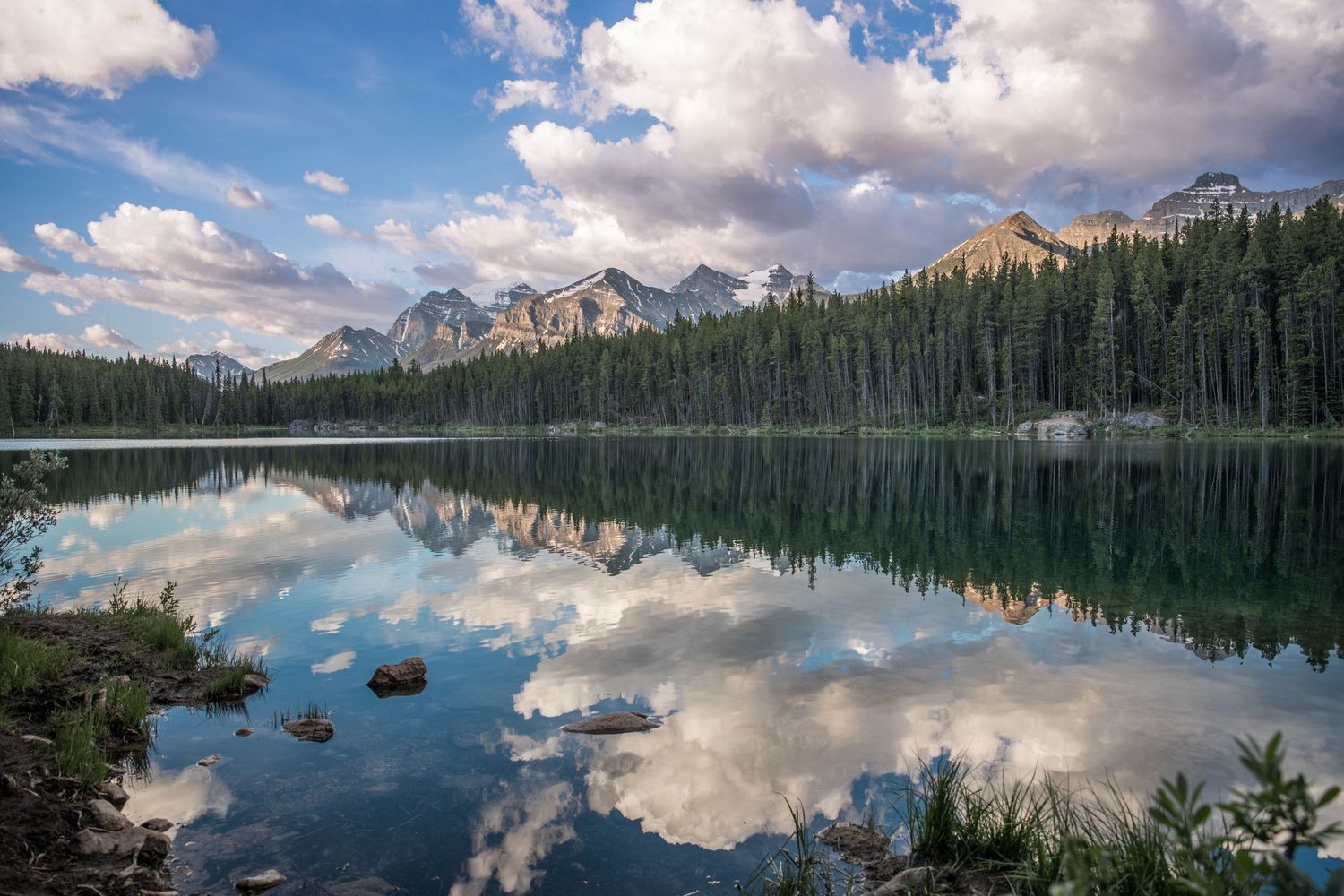 Photo of Herbert Lake, Alberta Canada. Flufy white coulds in the sky and the tall trees are mirrored in the lake.