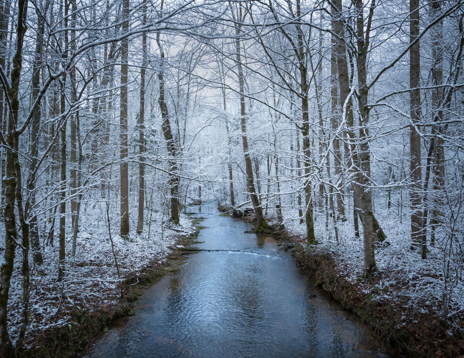 Photo of the Harpeth River, Nashville, TN. The scene is of the icy blue water framed by tall trees covered in snow and ice.