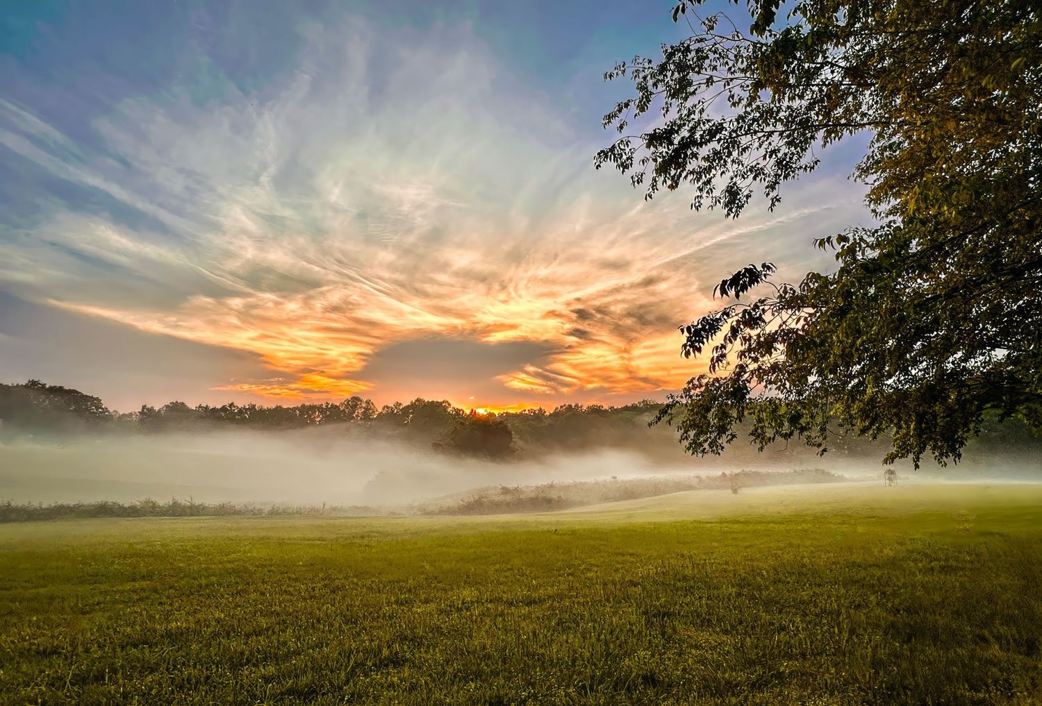 Photo of a fiery sunset sky with fog rolling in on the field beneath it. Foggy Sunset was shot in Tennessee near Nashville.