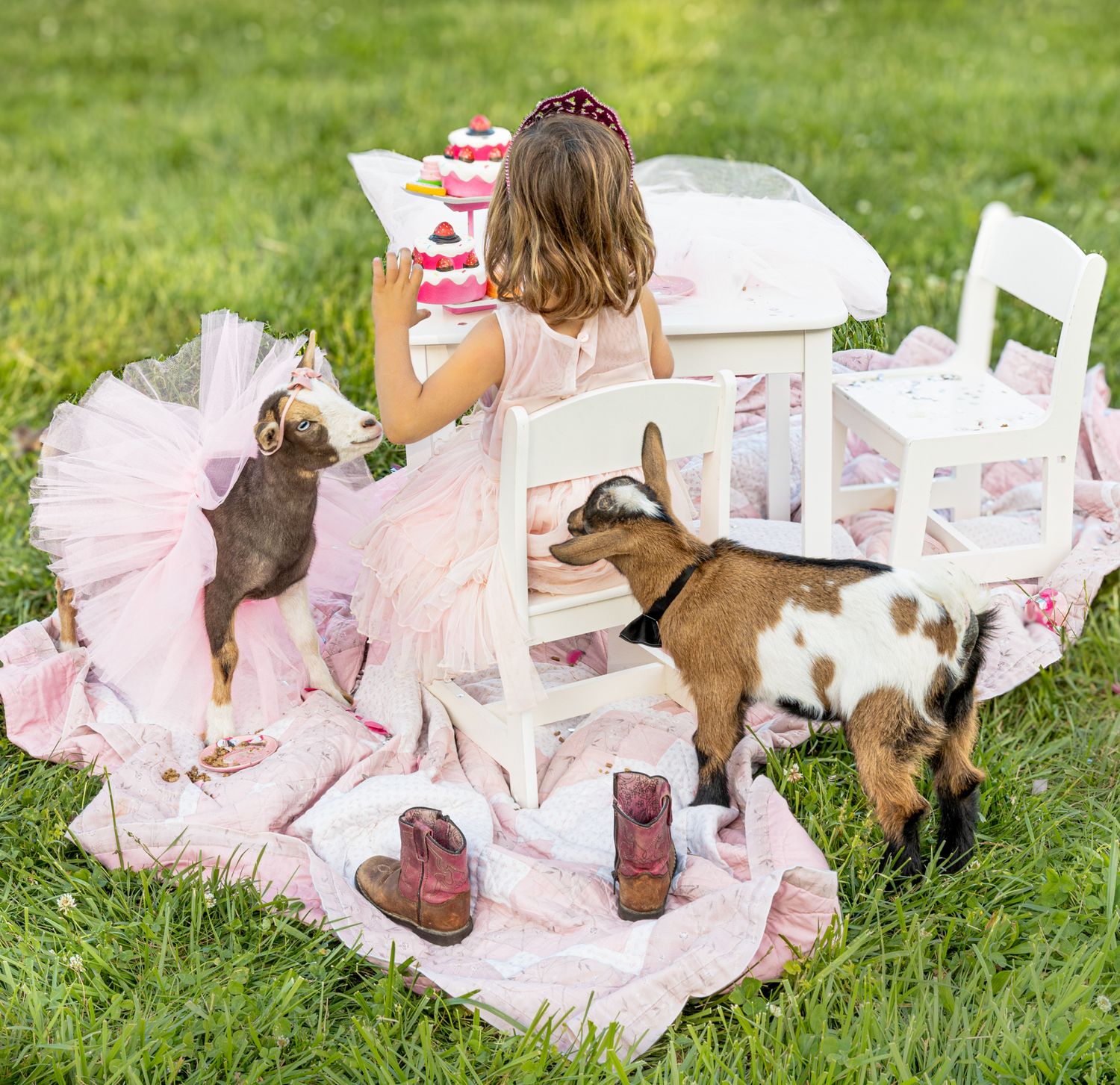 Photo of a girl with her pink cowgirl boots kicked off having a tea party with Nigerian goats in tutus. Living country in Tennessee.