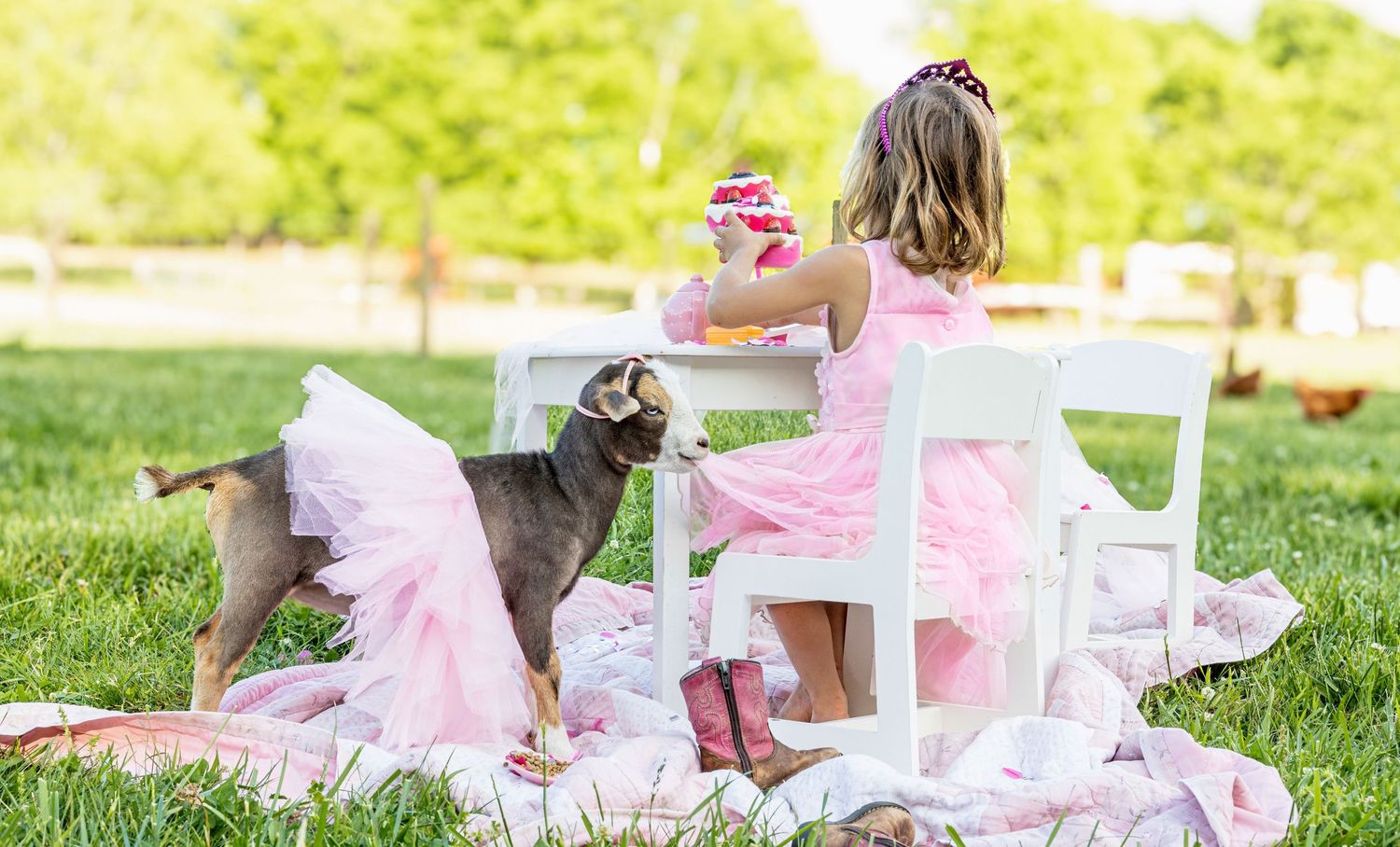 Photo of a girl in a pink dress at a tea party with her goat wearing a pink tutu and nibbling her dress. Girl's room or nursery artwork.