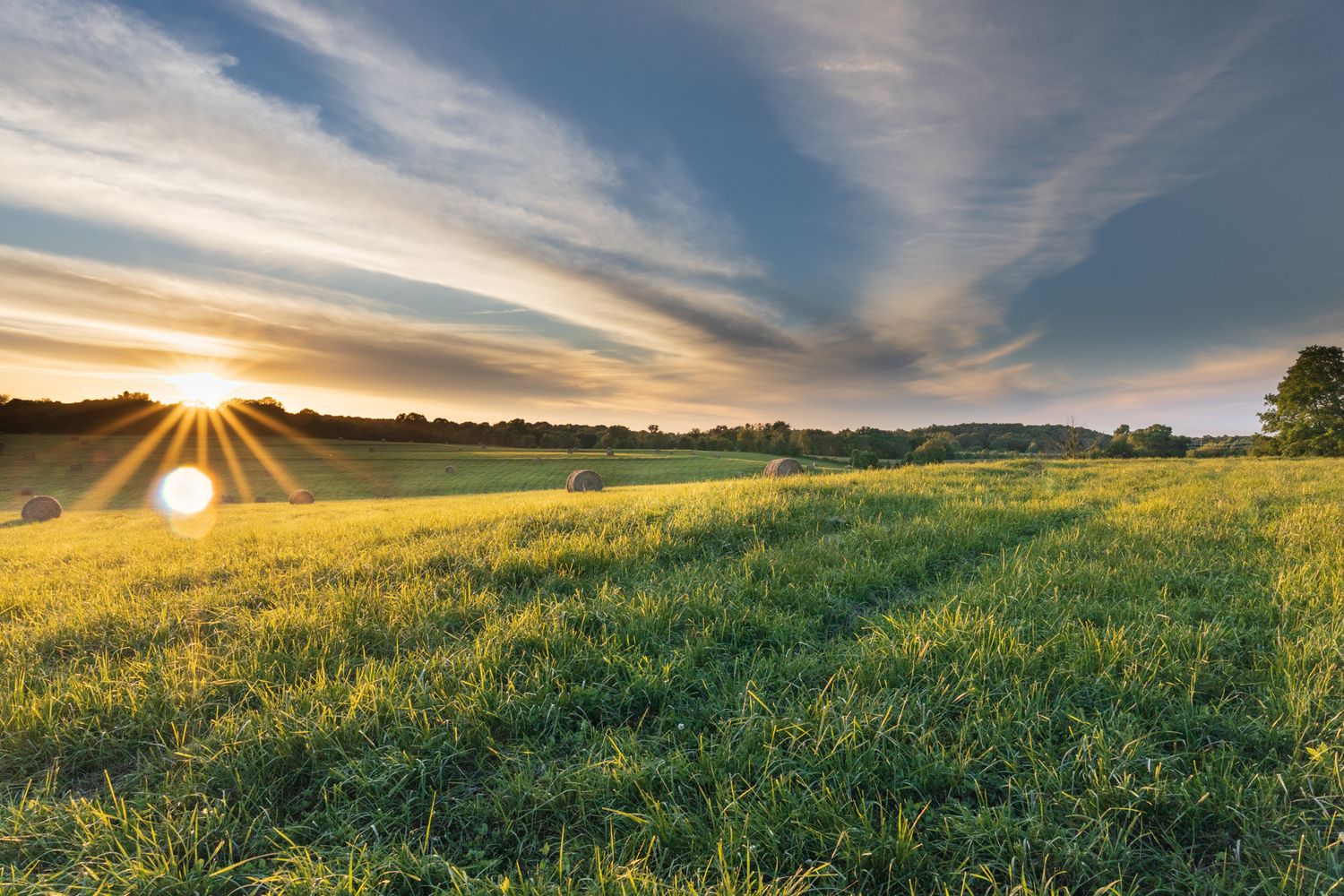 Photo of a freshly mown hayfield with haybales hightlighted by a dramatic sky, rolling hills, and a setting sun.