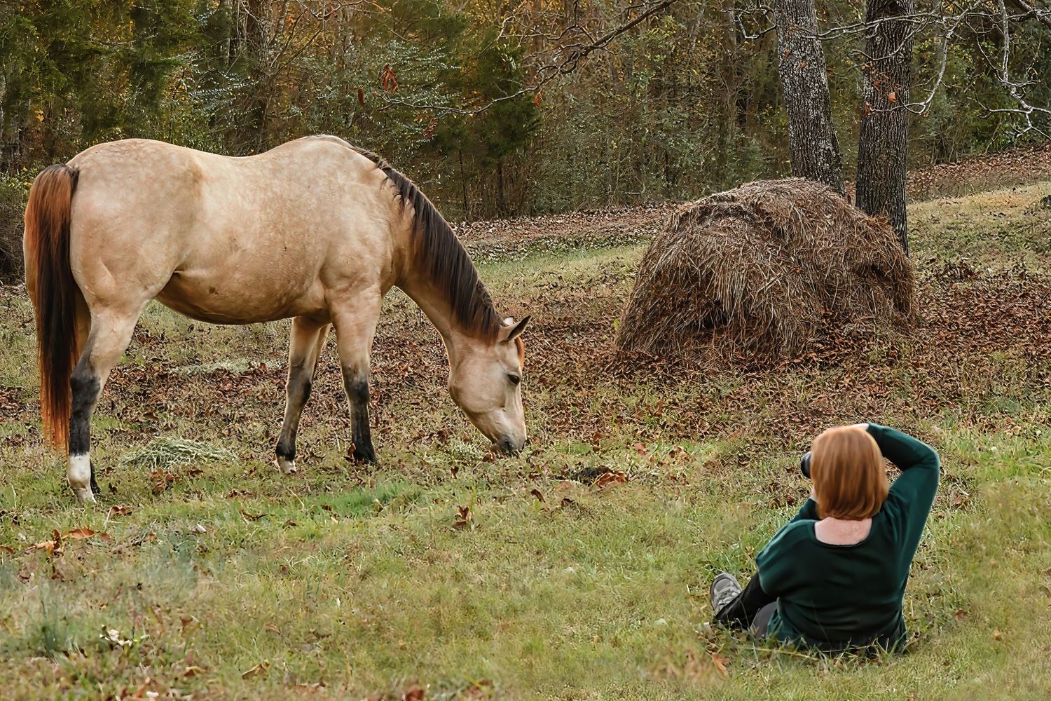 Photo of photographer, Debbie Karnes, taking photos of a horse in a field.