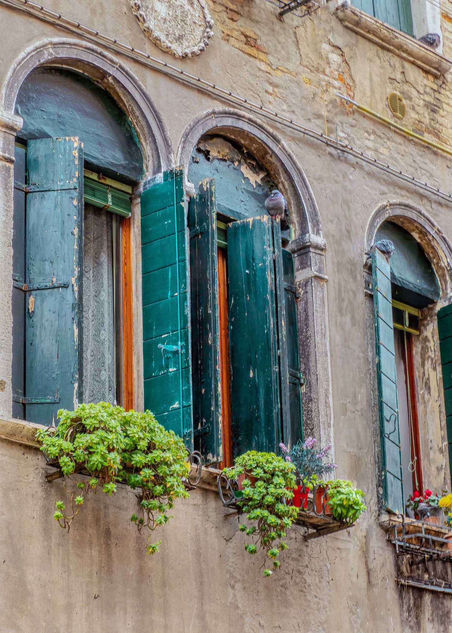 Photo from Venice, Italy.  Venecian stone architecture with ached windows and colorful blue shutters and window boxes with flowers.