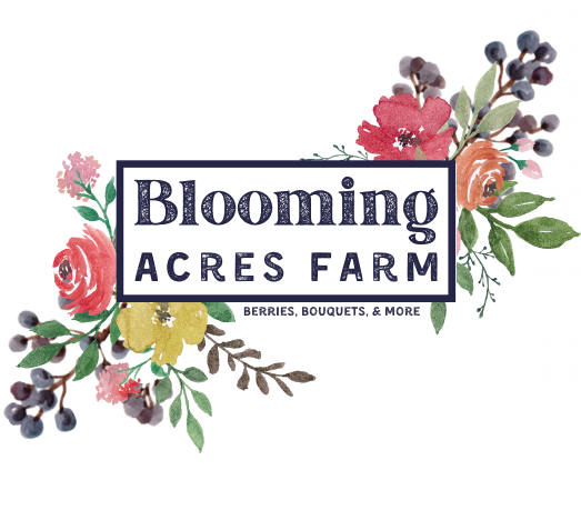 Logo for a flower farm in Dickson, Tennessee.