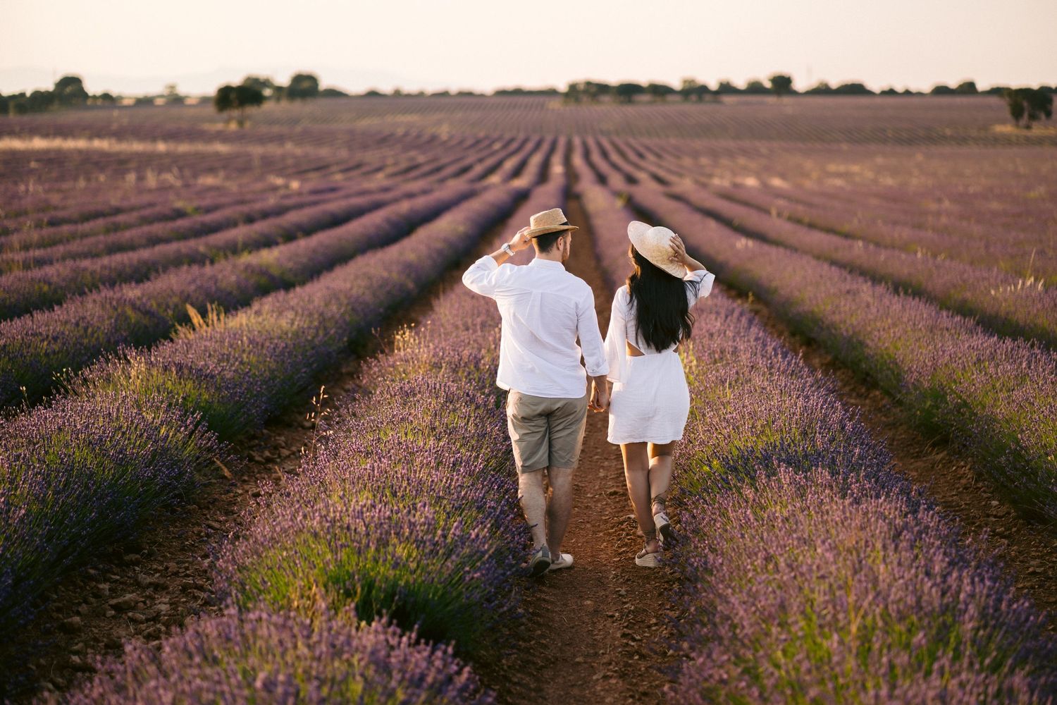 fotografia campos de lavanda pareja