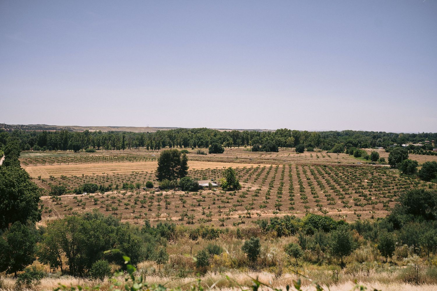 fotos de novio finca la montaña aranjuez