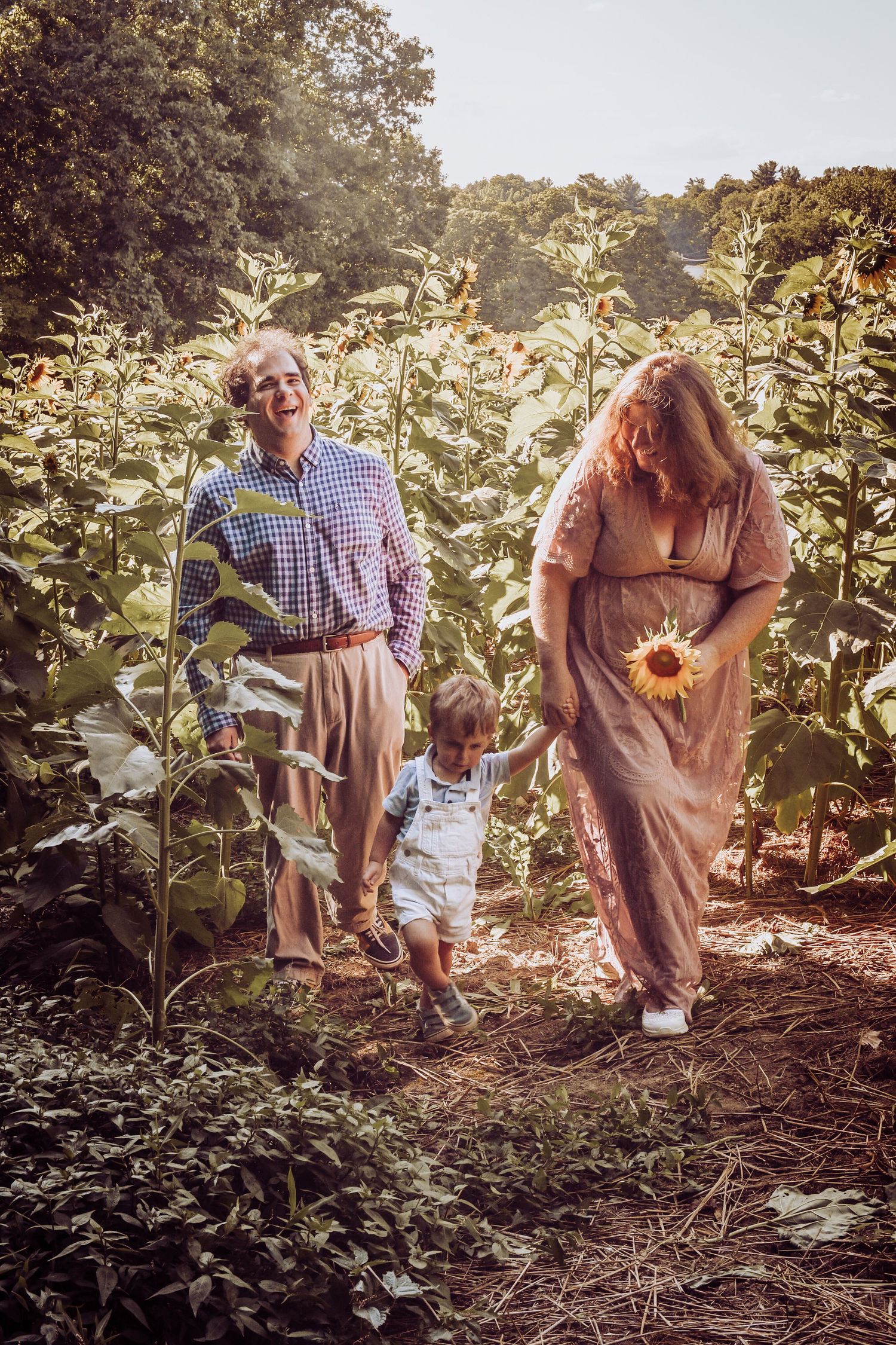 A group of people explore a sunflower field together on a warm summer evening with golden sunlight filtering through.