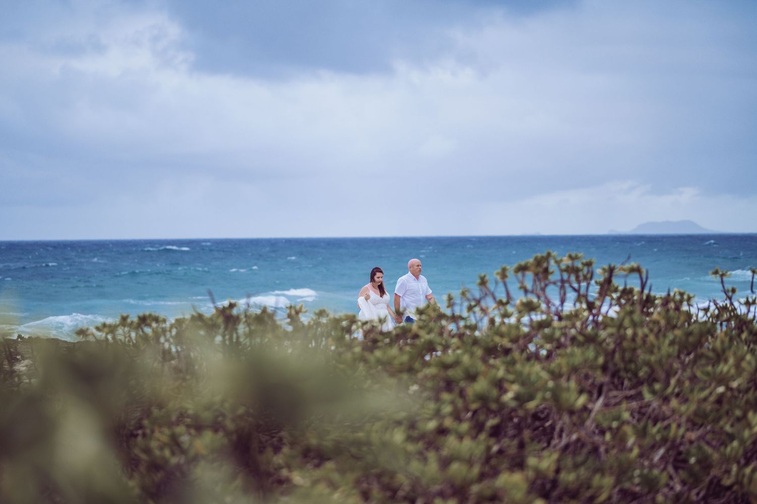Coastal landscape with blue ocean waters and native vegetation under bright sky.