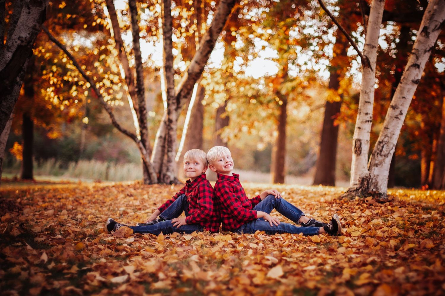 A collection of autumn family portraits showing people laying in fallen leaves during golden hour sunset.