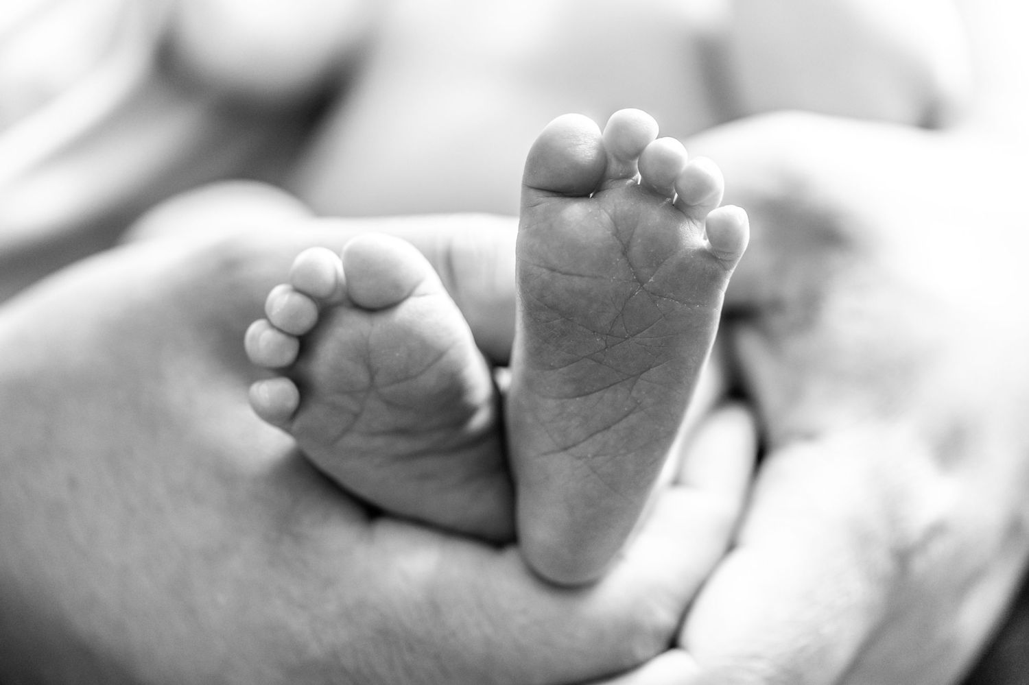 Black and white close-up photograph of tiny newborn baby feet showing delicate toes and soft skin texture.