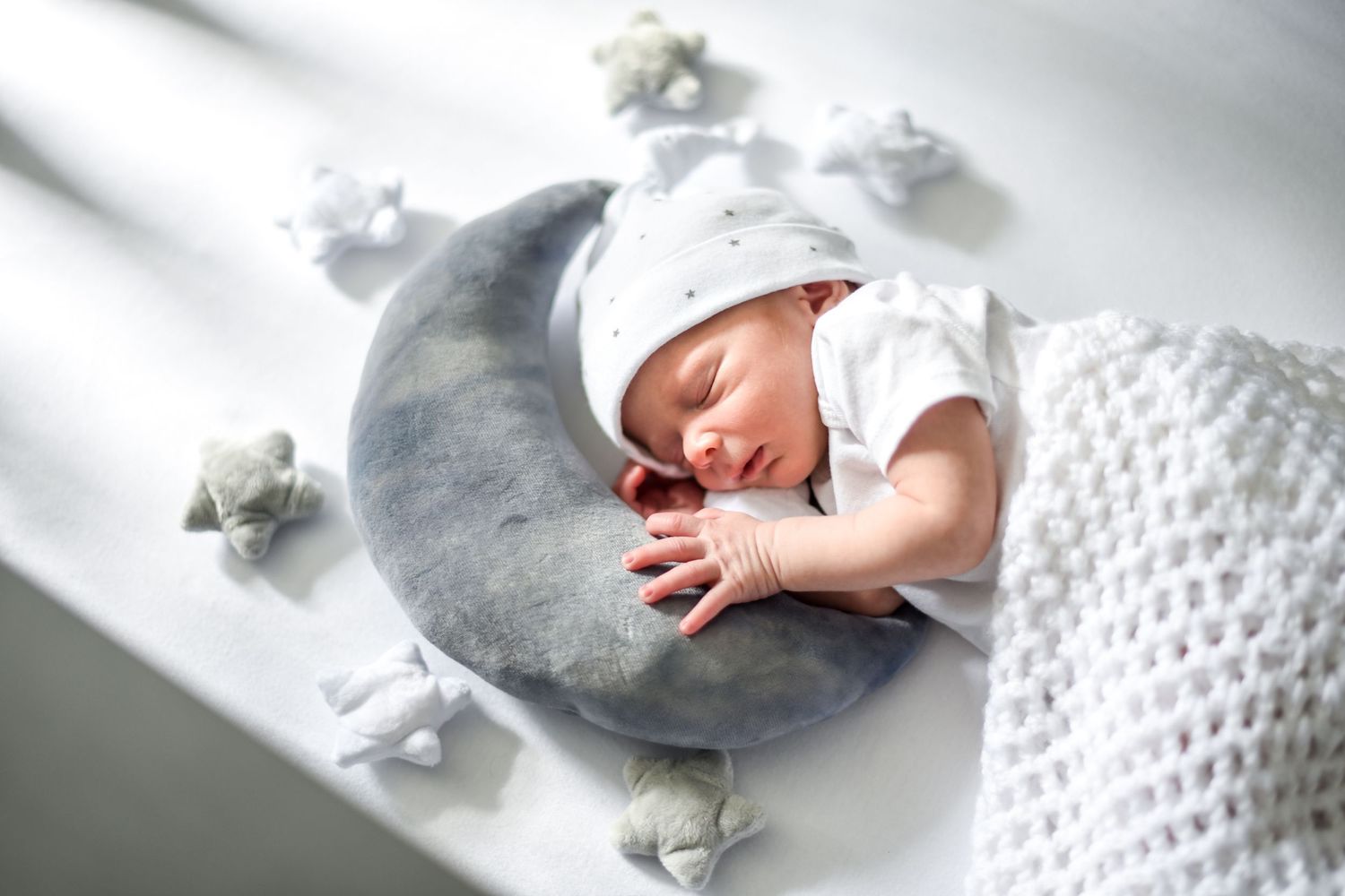 A soft gray plush seal toy lies on white knitted fabric with scattered white paper flowers around it.