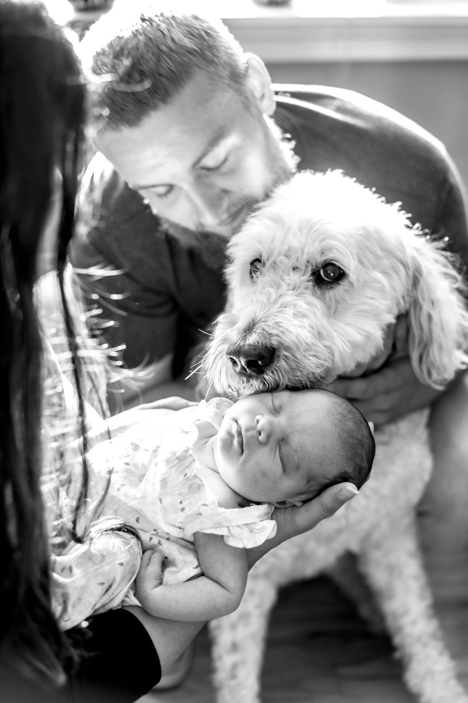 A series of black and white photos showing tender moments between a small white dog and its owner.