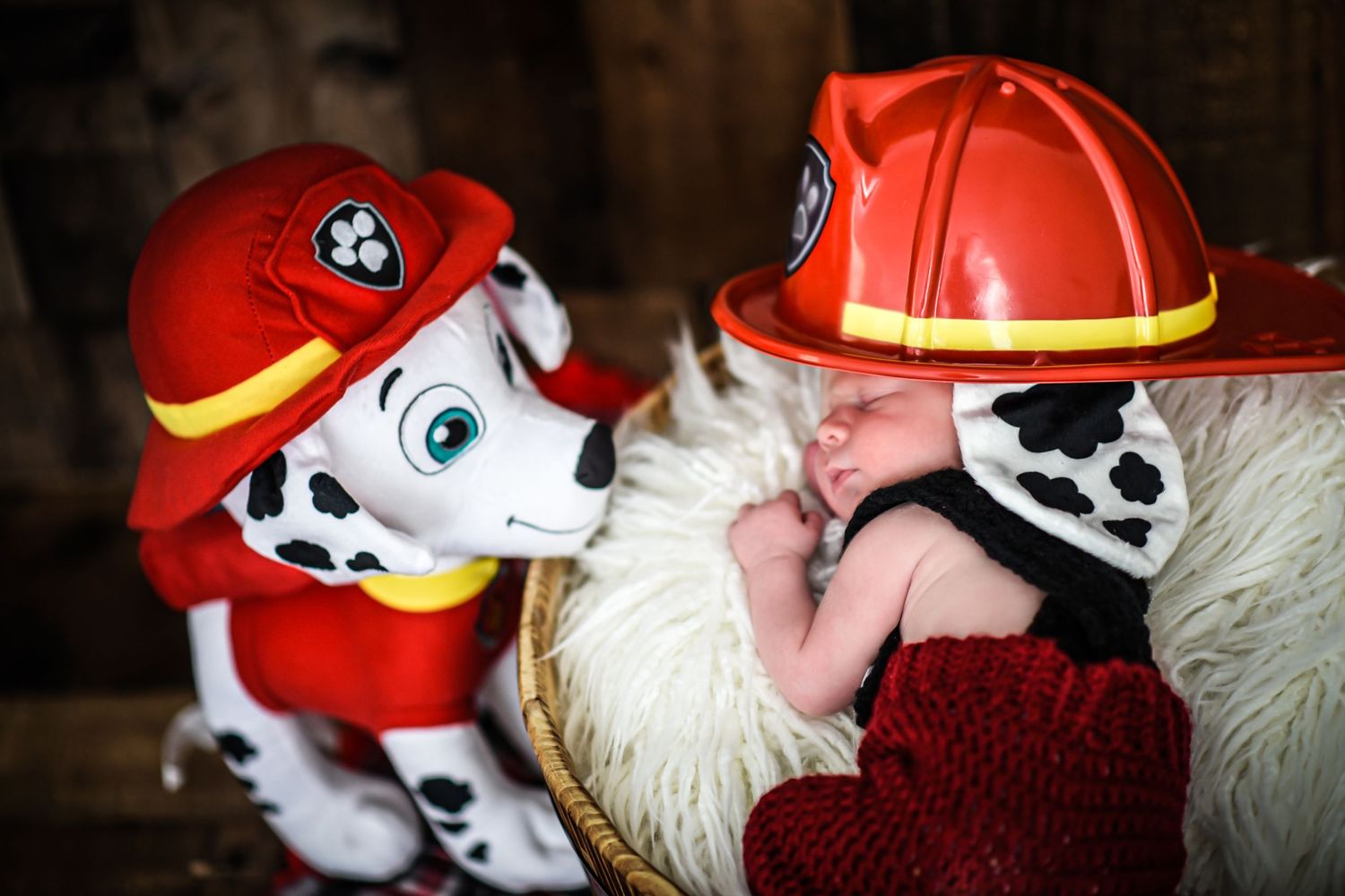 A series of plush Paw Patrol toys showing Marshall the fire dog character from different angles and poses.