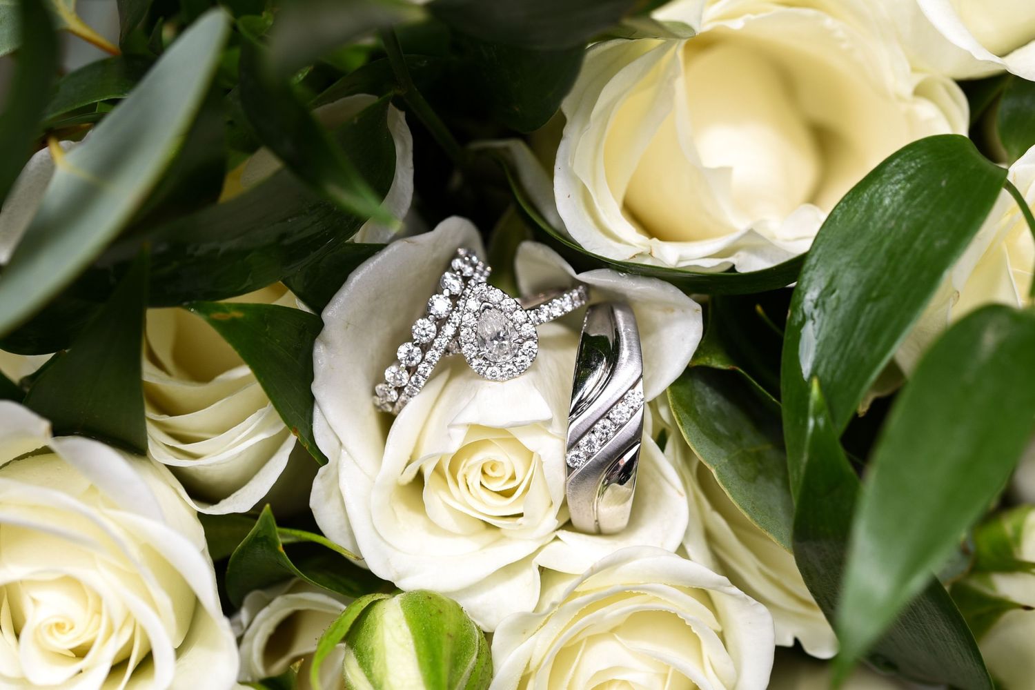 Sparkling diamond wedding rings nestled in white roses with green foliage.