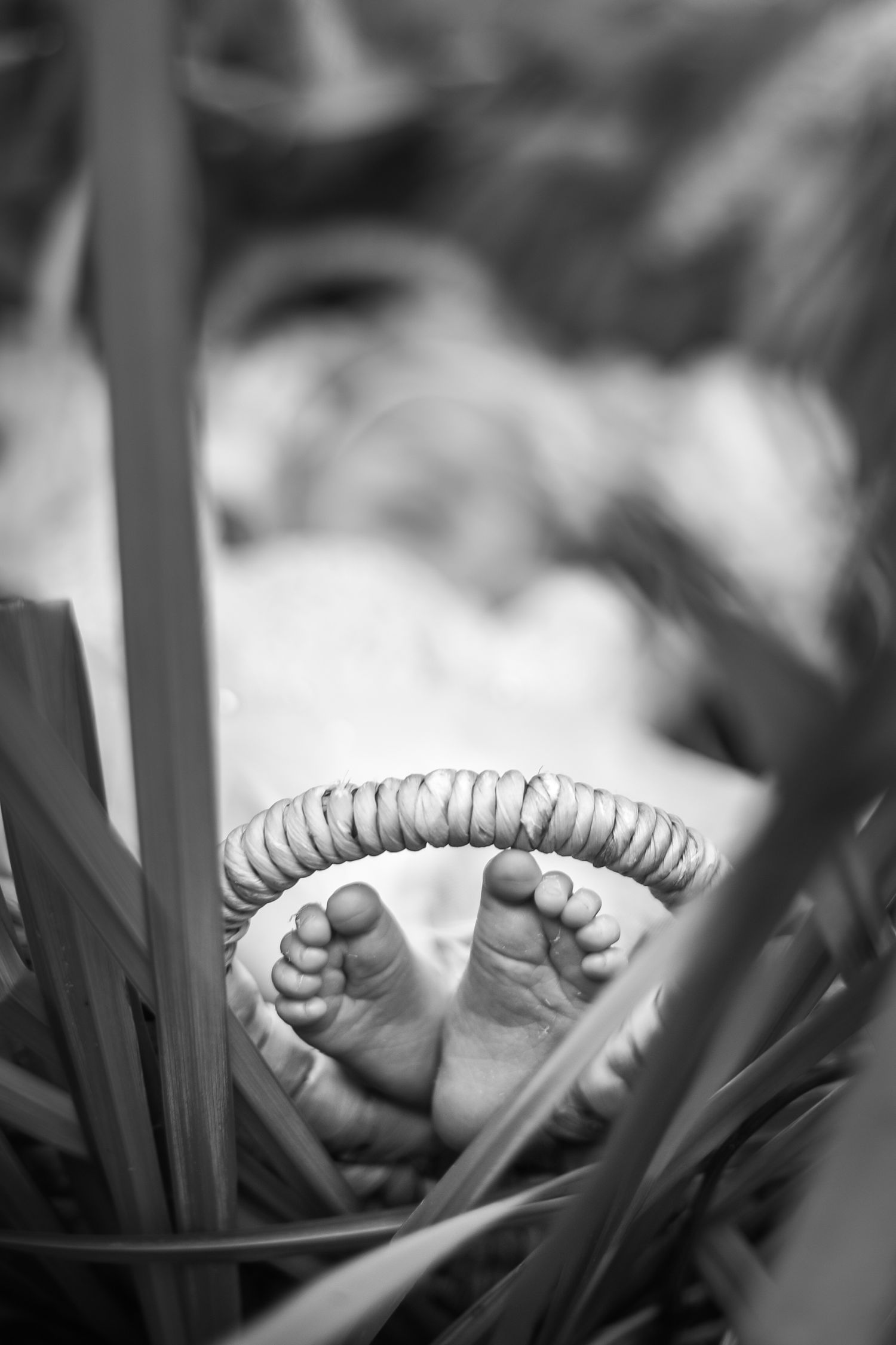 Black and white close-up photo of tiny baby feet peeking through leaves, wearing a beaded anklet.