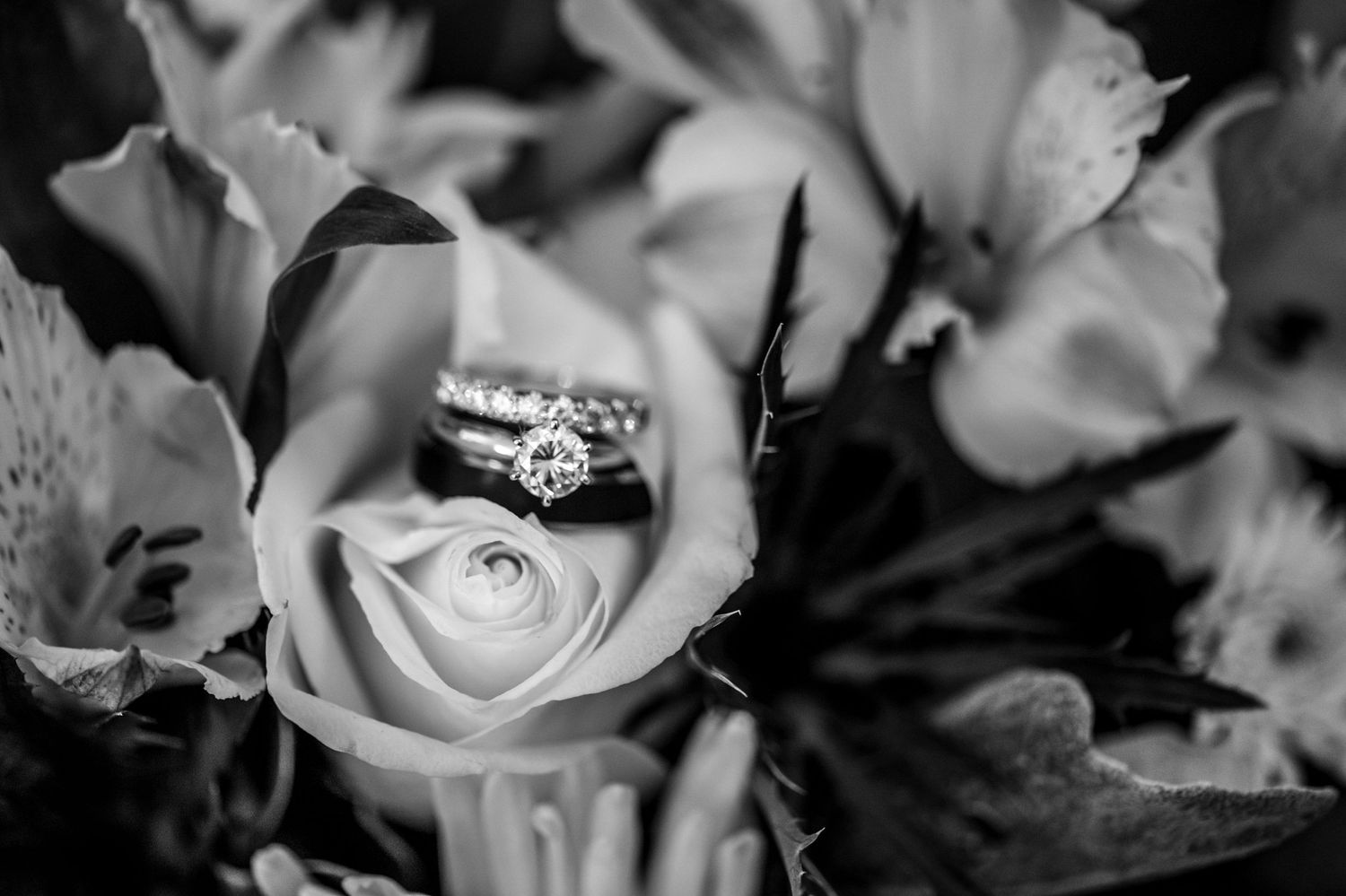Artistic black and white macro shot of roses and wedding rings.