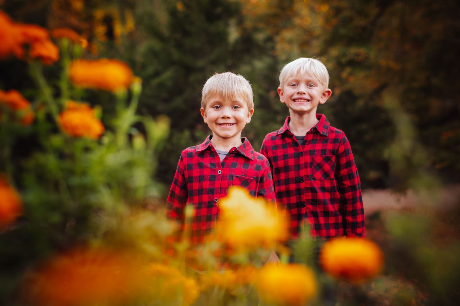 Children in plaid shirts play among orange pumpkins in autumn setting.
