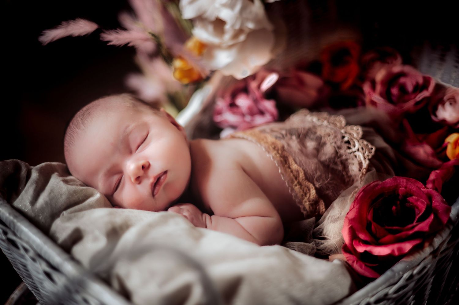 A newborn baby sleeping peacefully among red roses and soft white fabric in an artistic portrait setting.