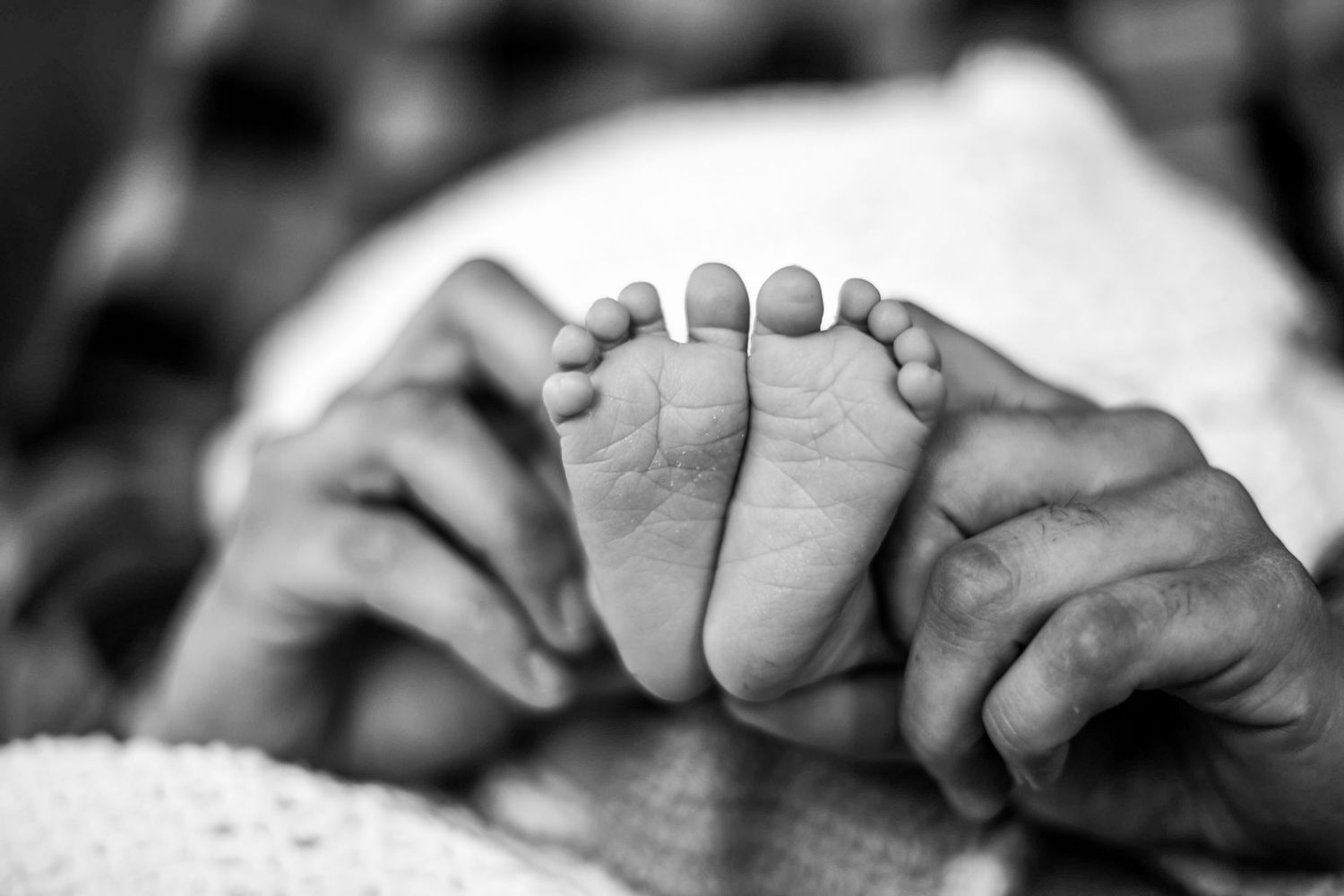 Adult hands gently holding tiny newborn baby feet in black and white close-up photograph.