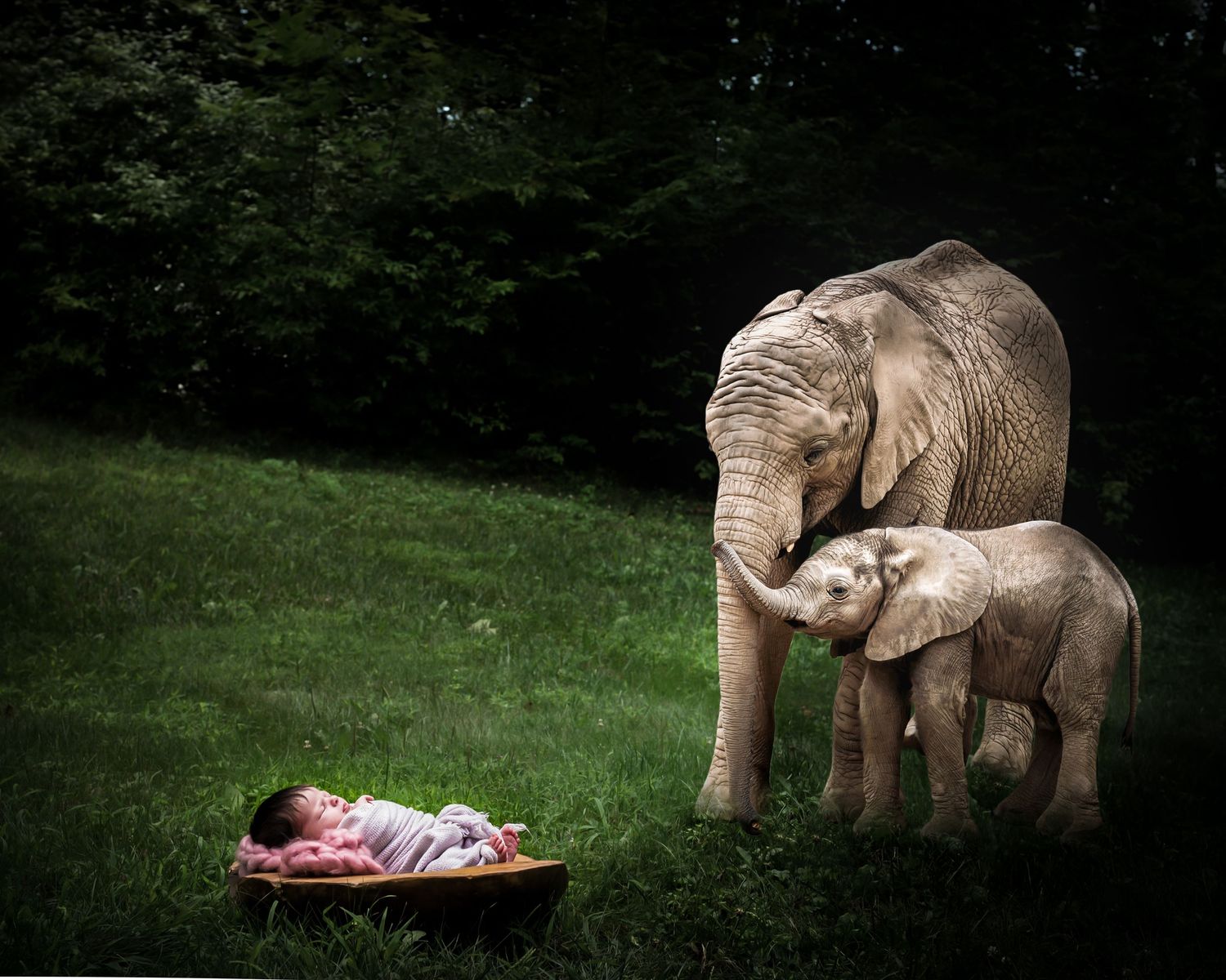 Series of photographs showing baby elephant sculptures arranged near sleeping infant in garden setting.