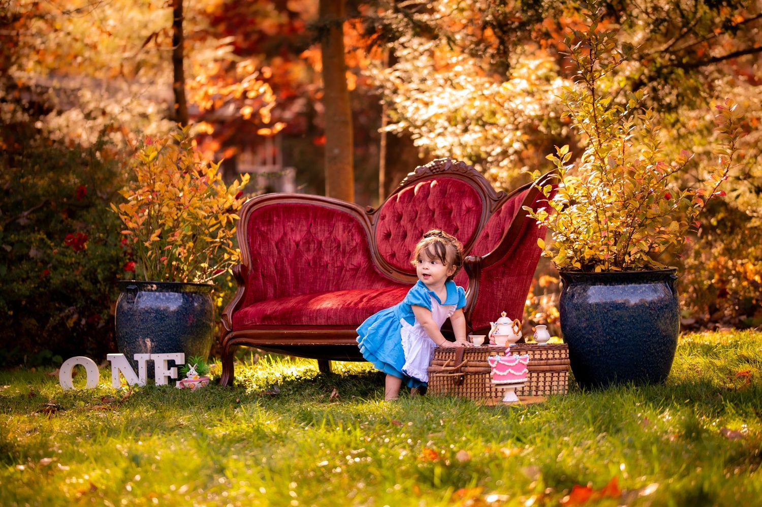 Colorful autumn outdoor photo session setup with red and blue tents surrounded by golden fall foliage.