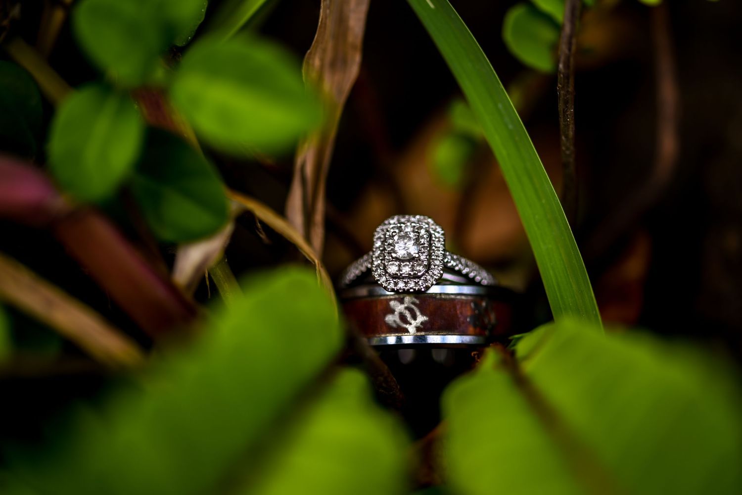 Wedding rings nestled among green leaves in detailed macro shot.