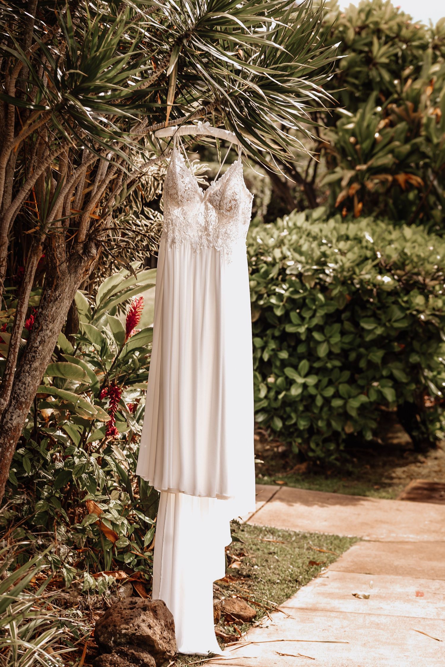 White wedding dress hanging among tropical foliage in garden setting.