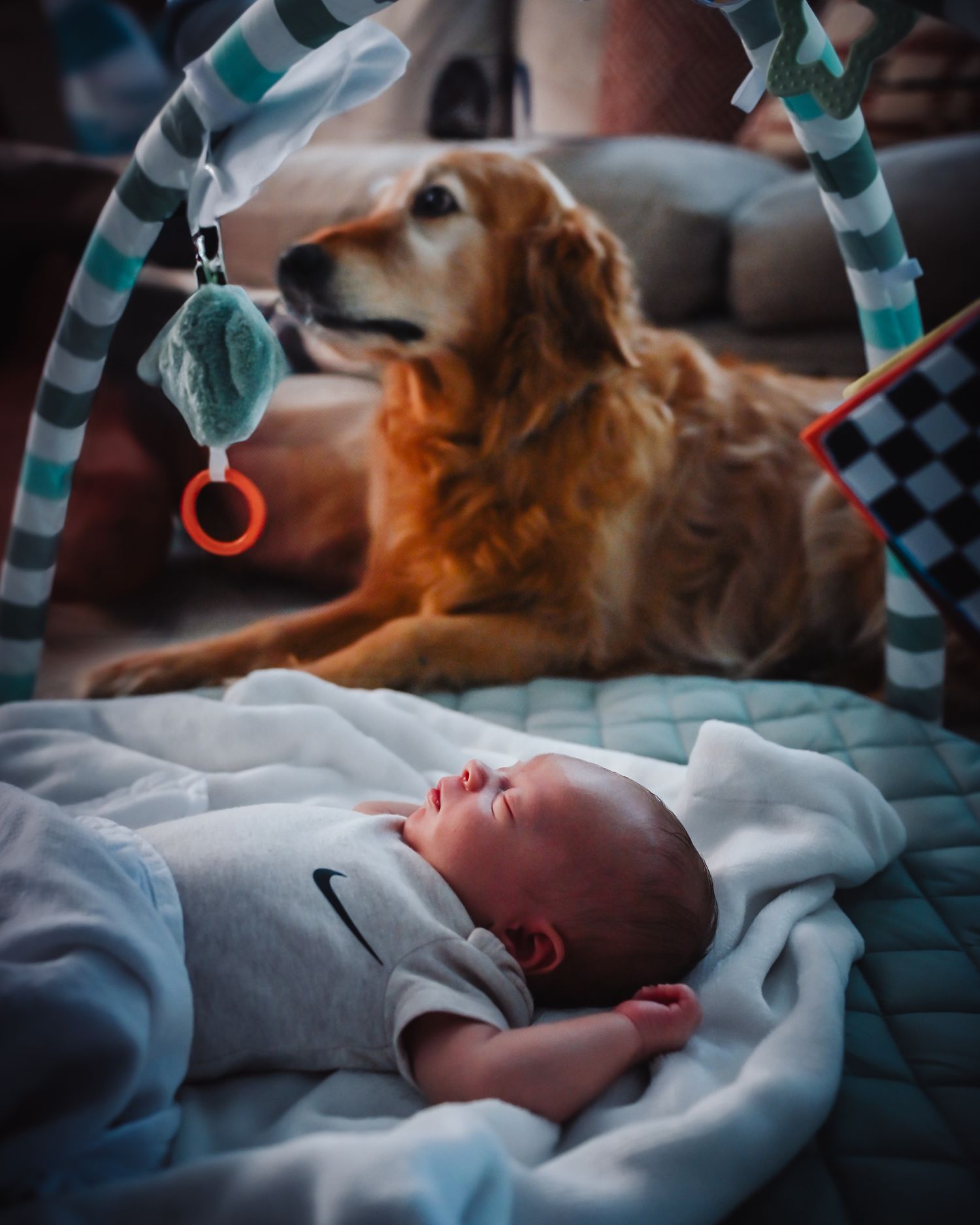 A golden retriever dog watches over a baby lying on a blanket under a baby gym with hanging toys.