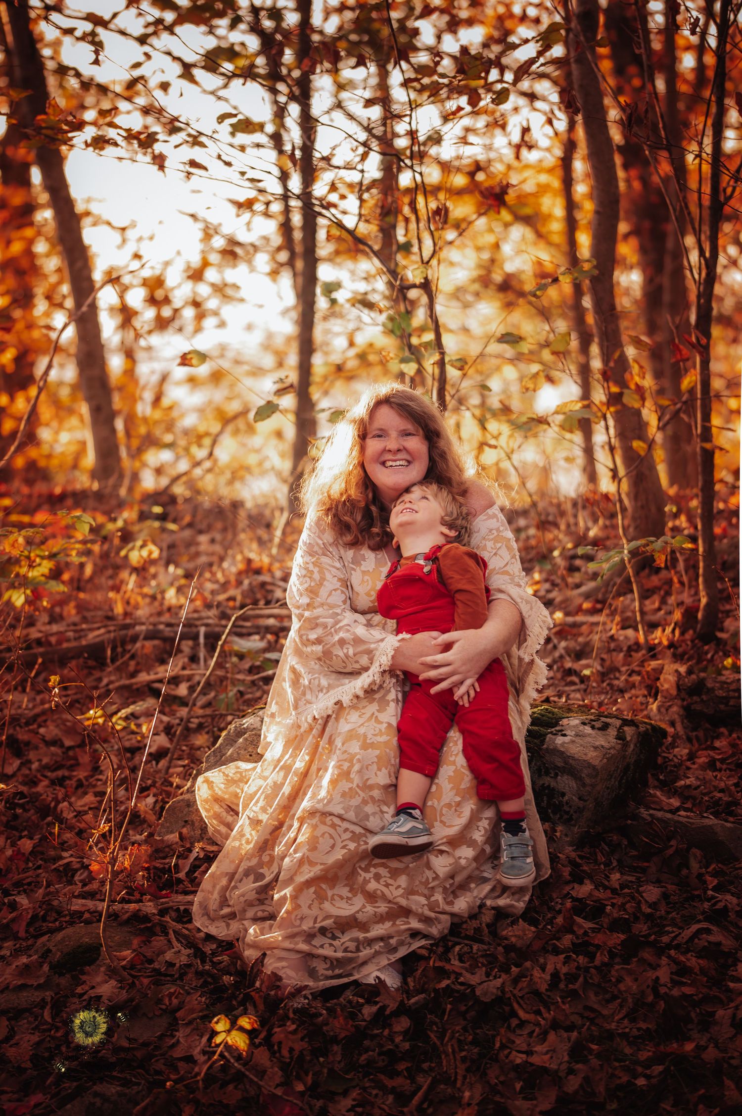 A series of autumn forest photos with warm golden light filtering through trees and fallen leaves on the ground.