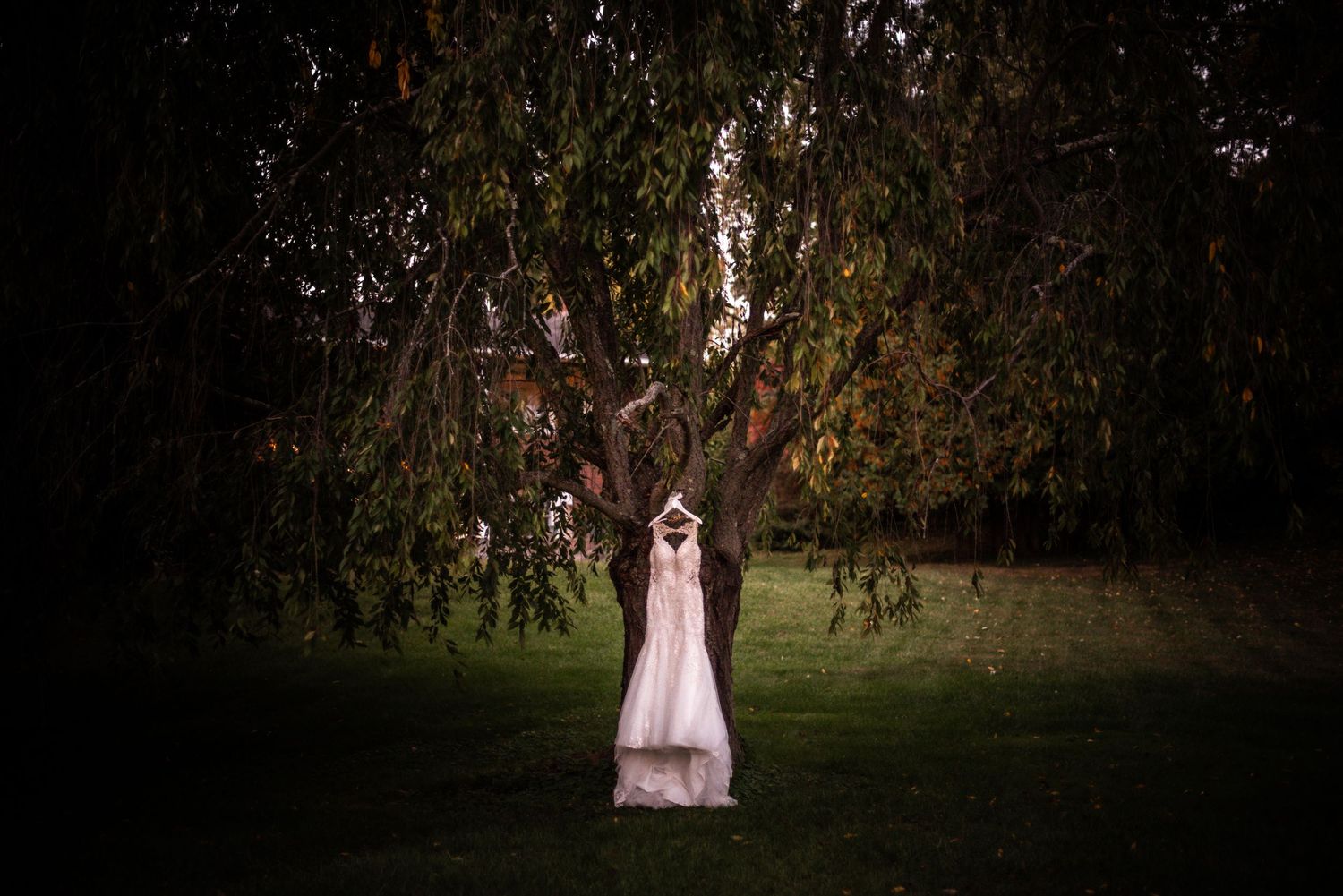 Ethereal outdoor wedding portraits under weeping willow trees at dusk.
