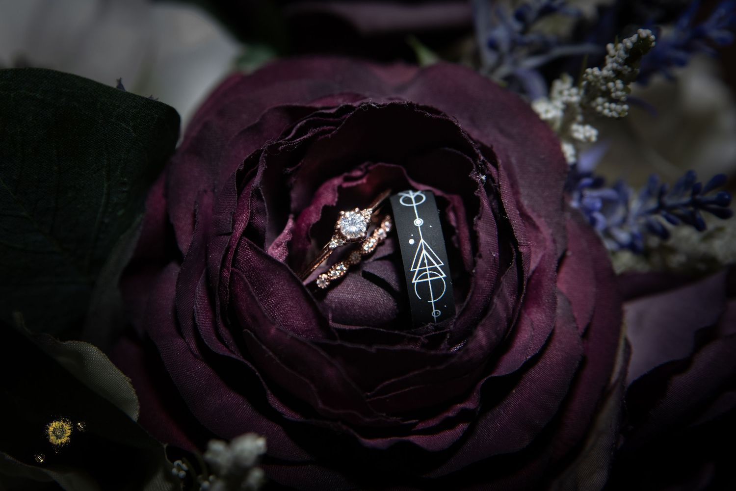 Dark purple roses with delicate petals create a moody and romantic floral arrangement.