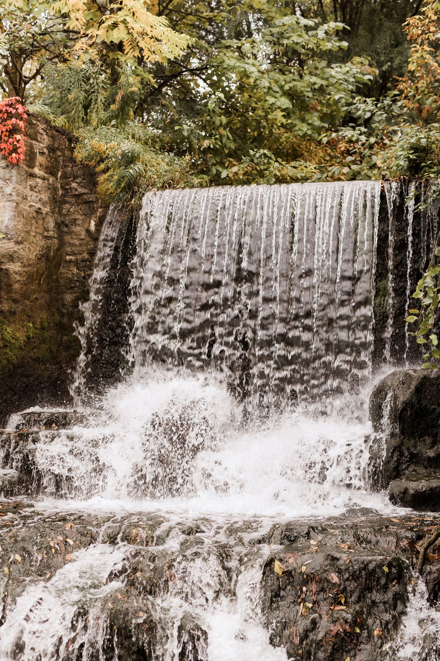 Cascading waterfall flows over rocky ledges surrounded by autumn foliage.