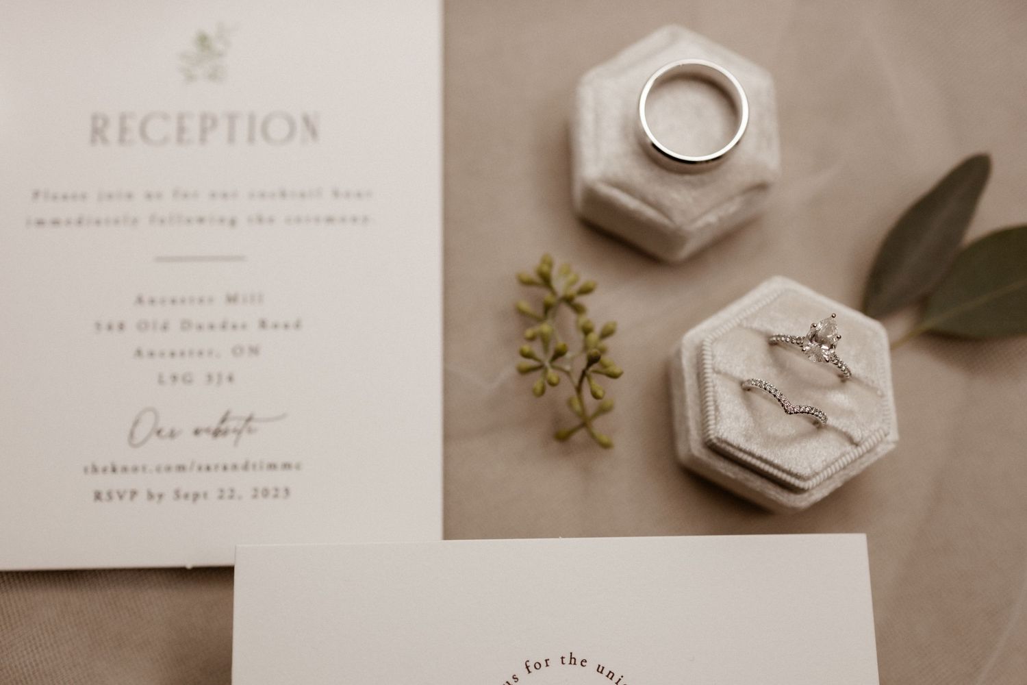 Wedding stationery with hexagonal ring boxes and delicate foliage on beige background.
