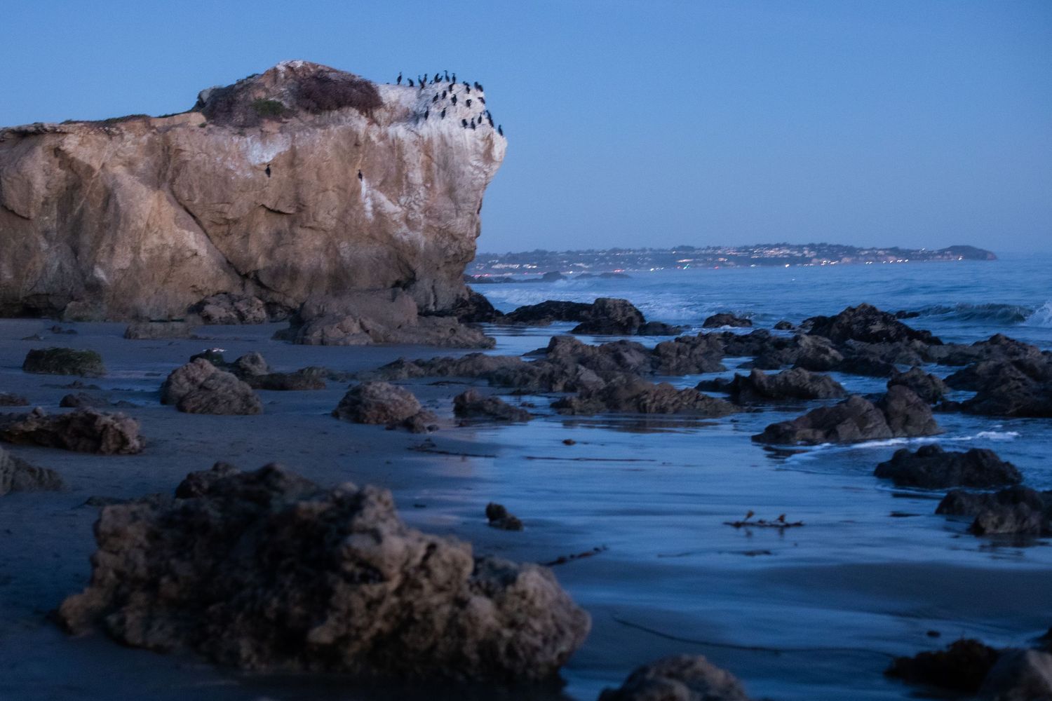 Rocky coastal landscape with seabirds perched on a cliff against a blue sky.