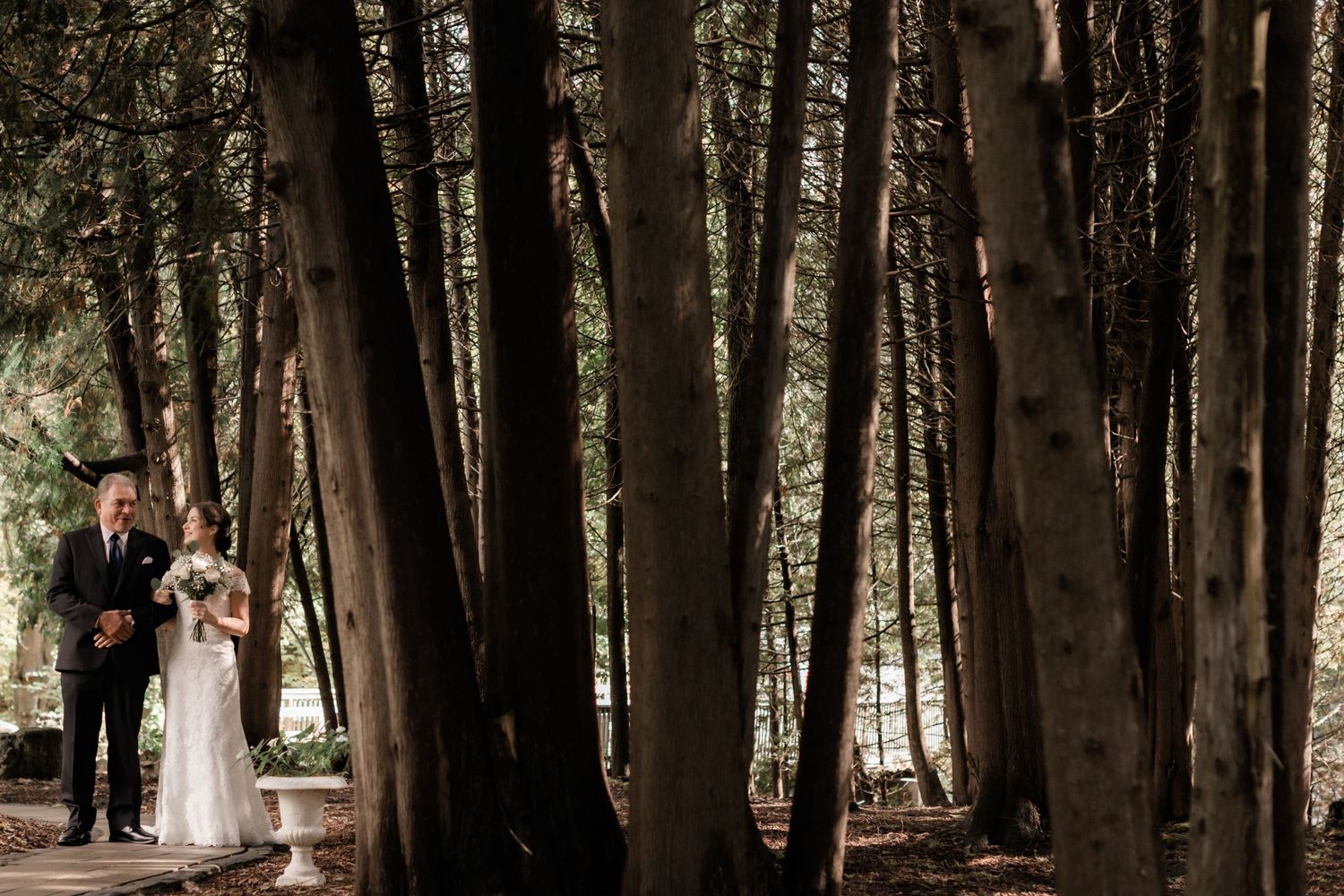 Atmospheric wedding portrait with silhouetted trees creating a dramatic forest backdrop.