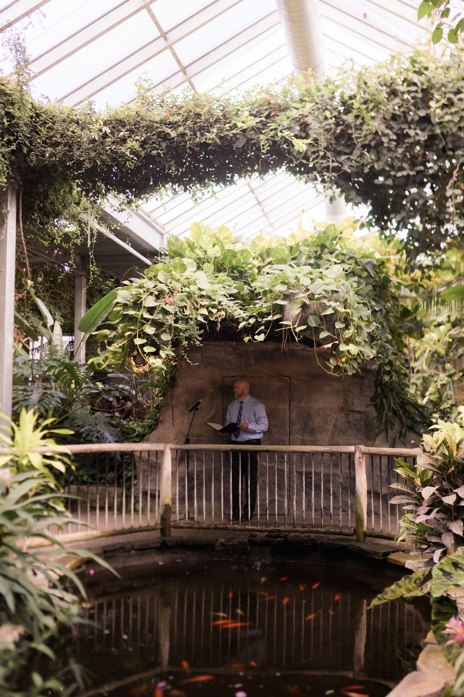 A serene greenhouse pond with koi fish and hanging vines under a glass roof.