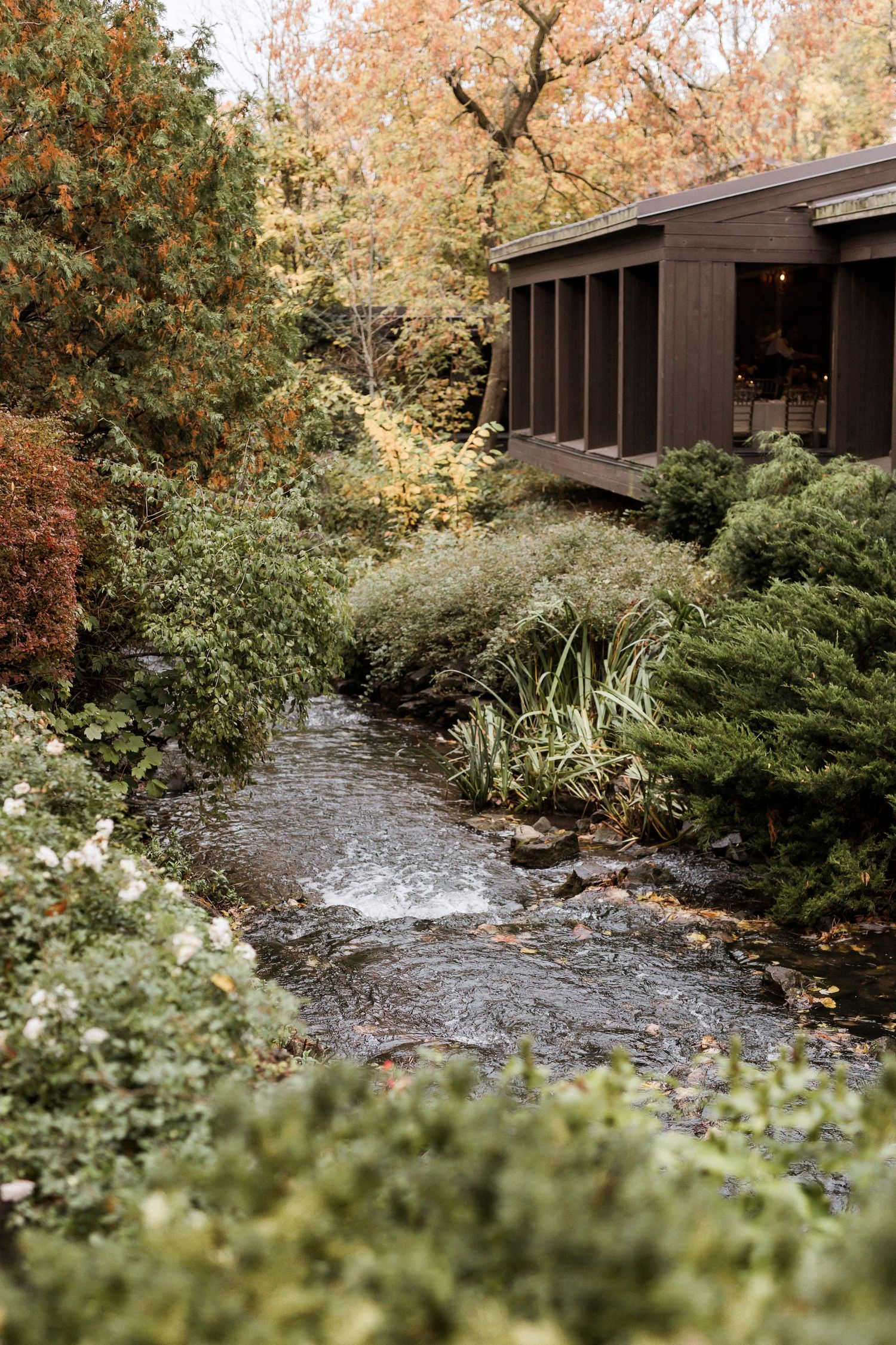 Modern brown building overlooking stream with autumn foliage and landscaped gardens.
