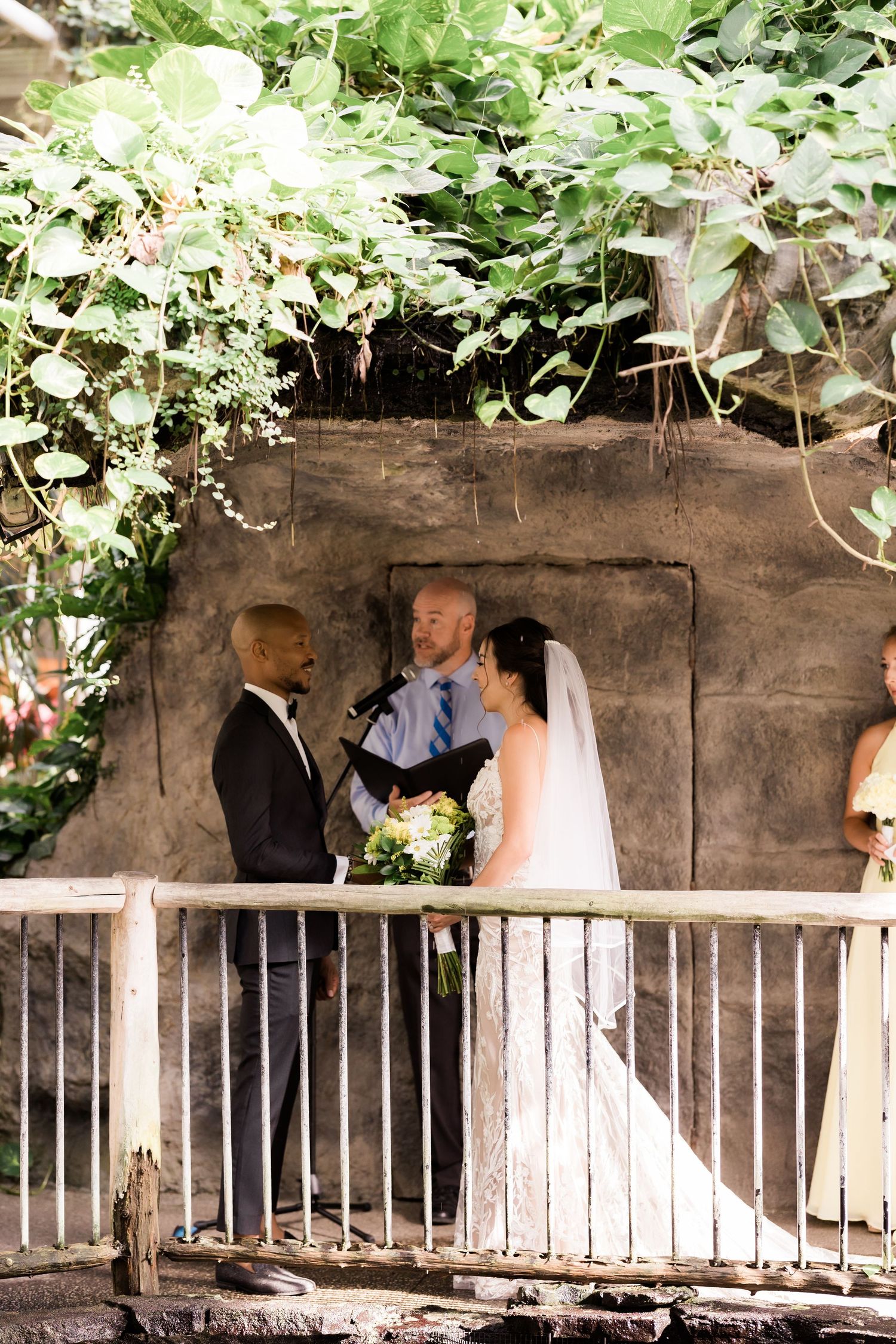 Wedding ceremony takes place under a rustic pergola covered in lush greenery.