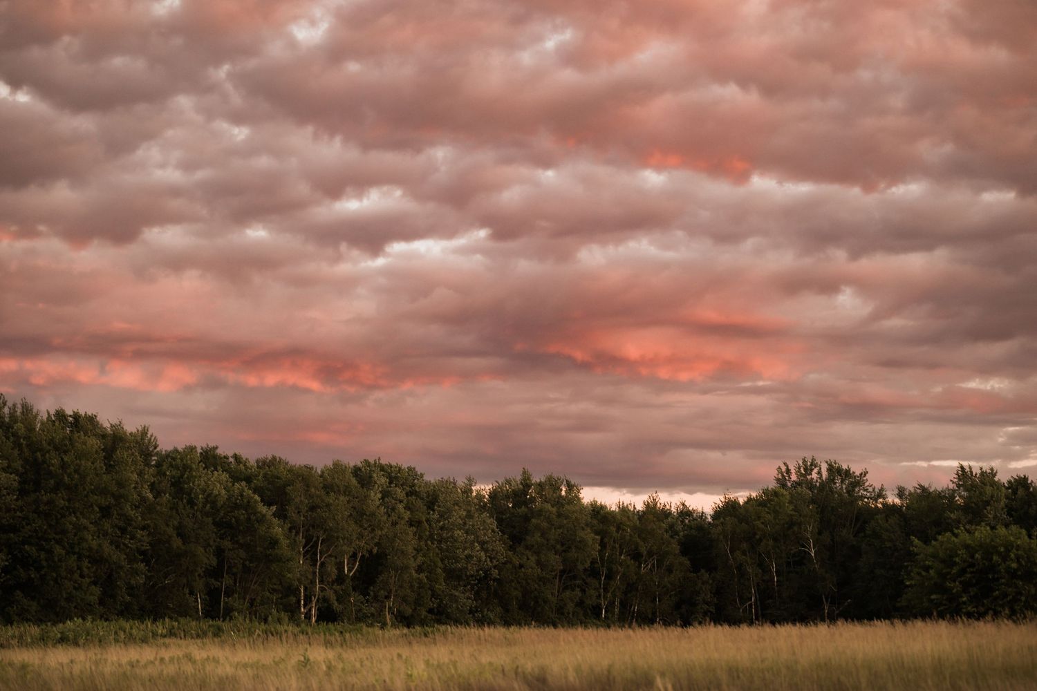 Dramatic sunset with orange clouds over field and treeline creating moody wedding atmosphere.