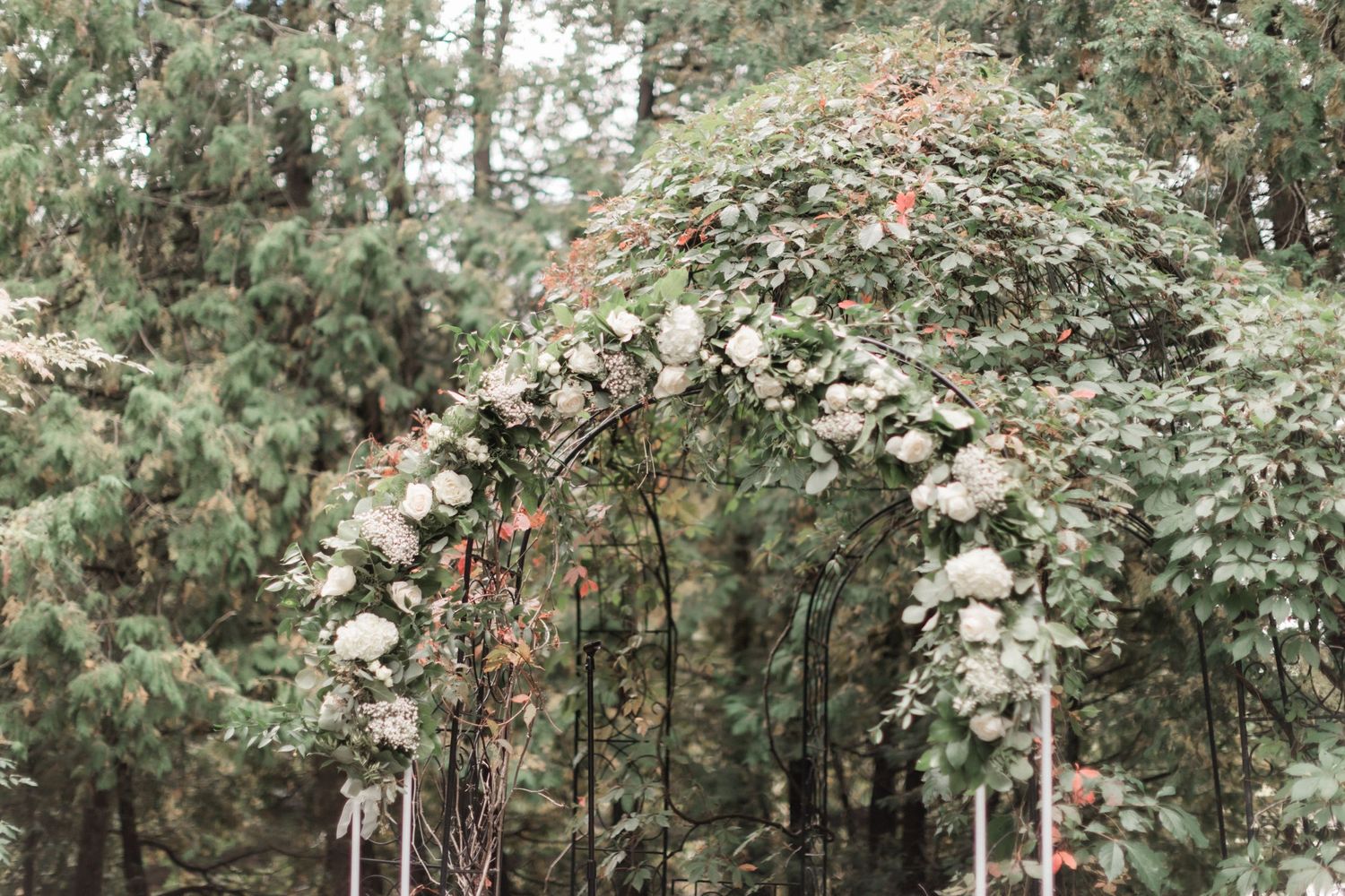 Romantic floral wedding arch with white roses and greenery in woodland setting.