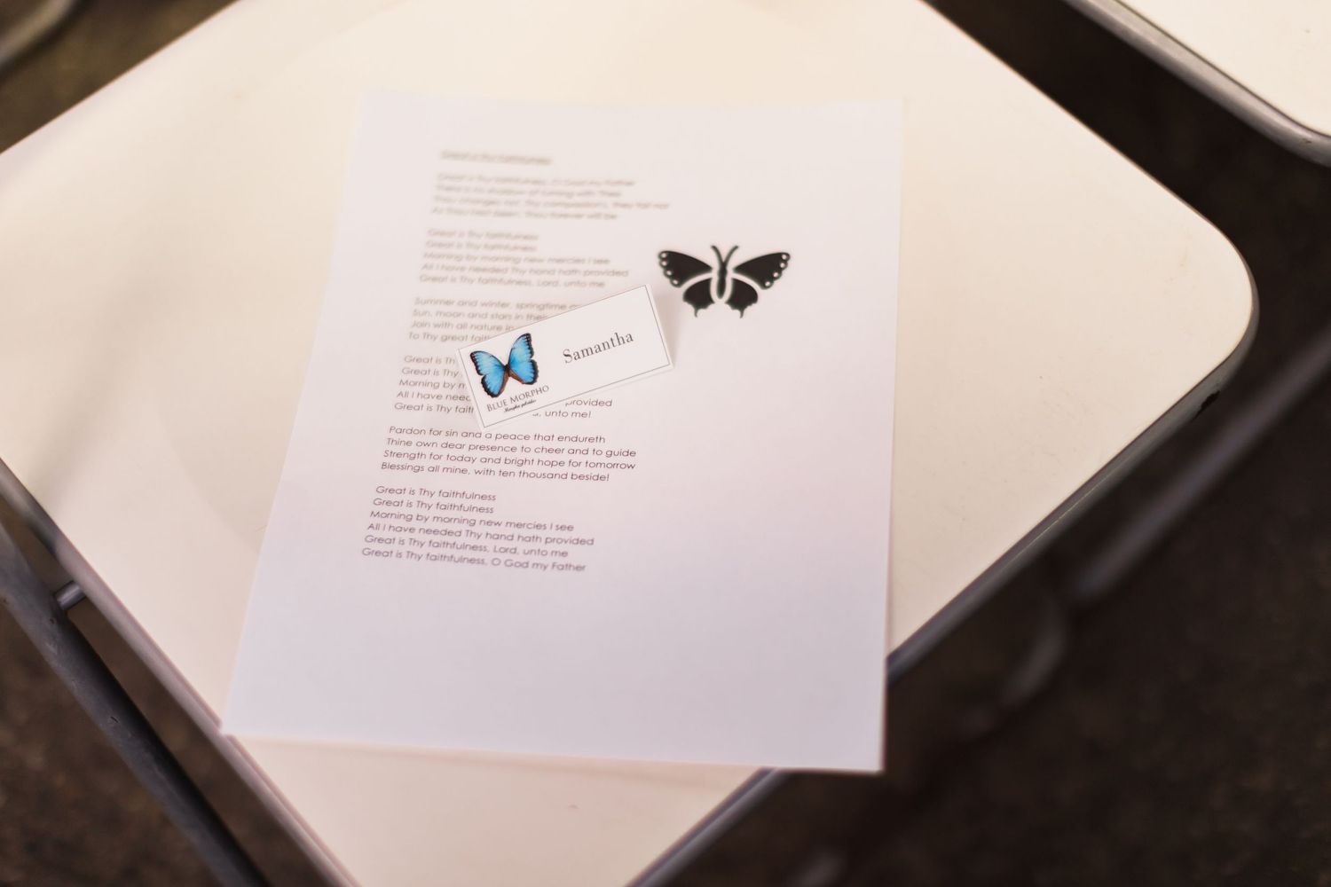 Document page with two butterfly illustrations in black and blue on white paper.