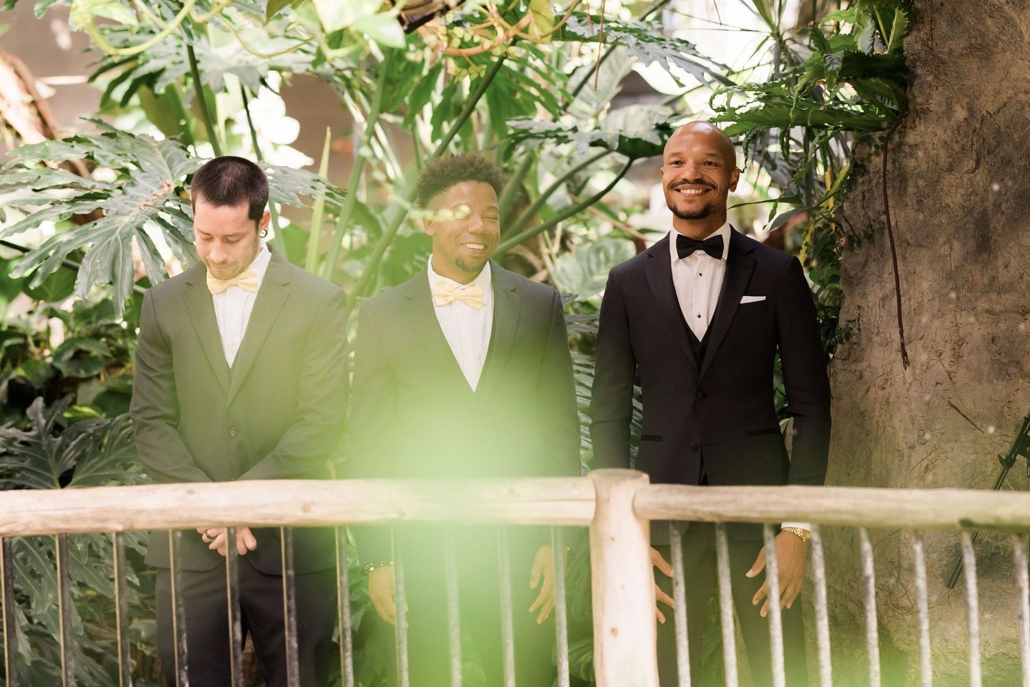 Three groomsmen in formal attire standing on a balcony with sunlight streaming through leaves.