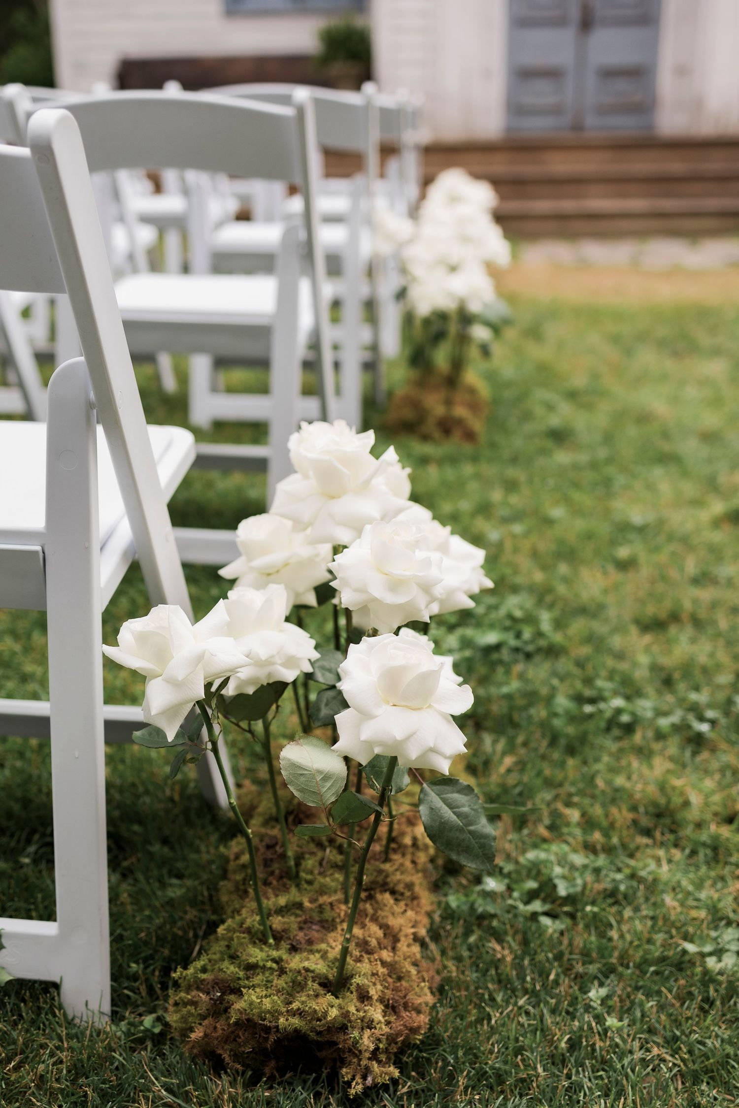 White wooden folding chairs and delicate white roses arranged on grass for an outdoor wedding ceremony.