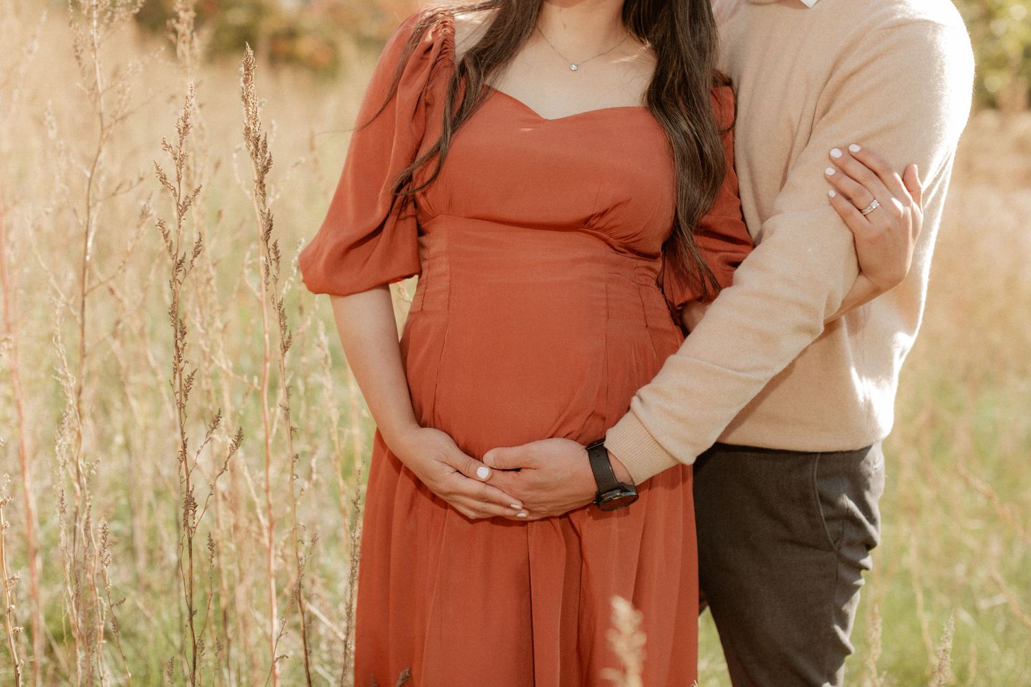 Close-up of hands cradling a pregnant belly in a rust-colored dress against wheat stalks.