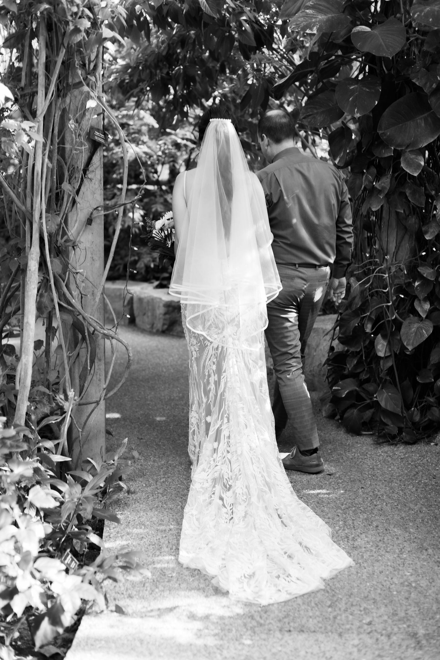 Black and white photo of bride in lace gown and flowing veil walking garden path.