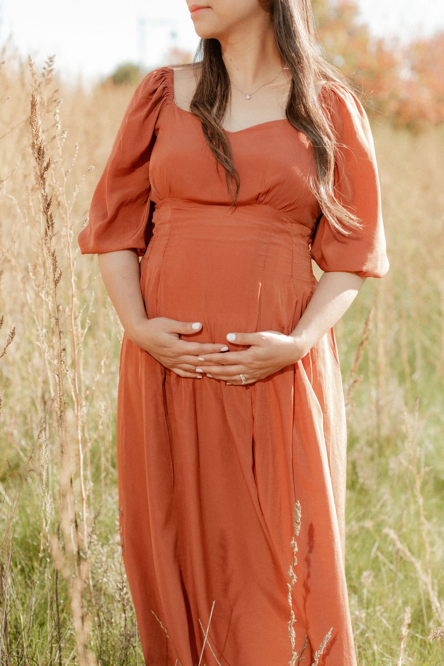A close-up maternity photo of a rust-colored dress against tall grasses in a field.