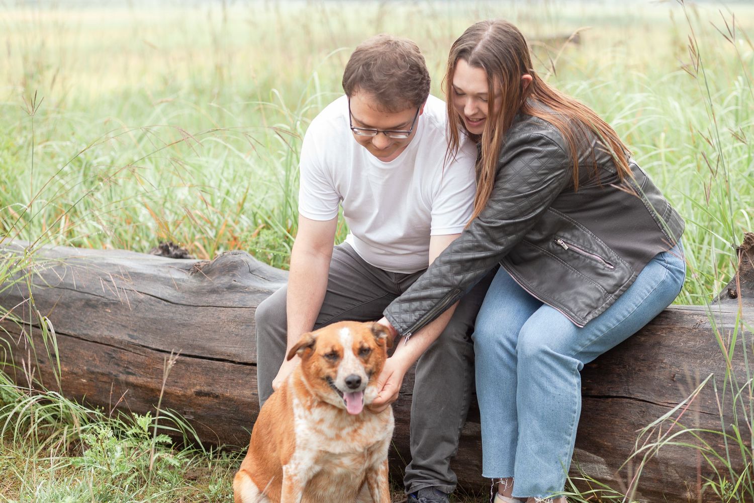 Couple sits on log with their corgi dog in rustic outdoor setting.