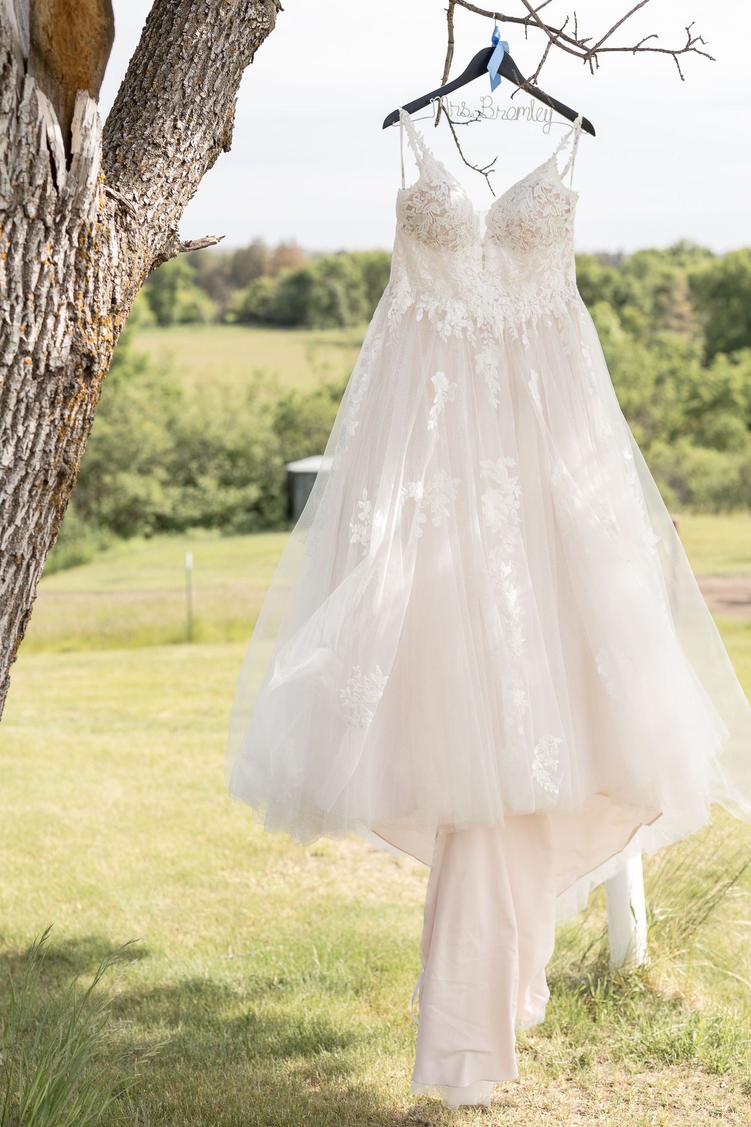 White wedding dress with lace details hanging from tree branch against pastoral background.